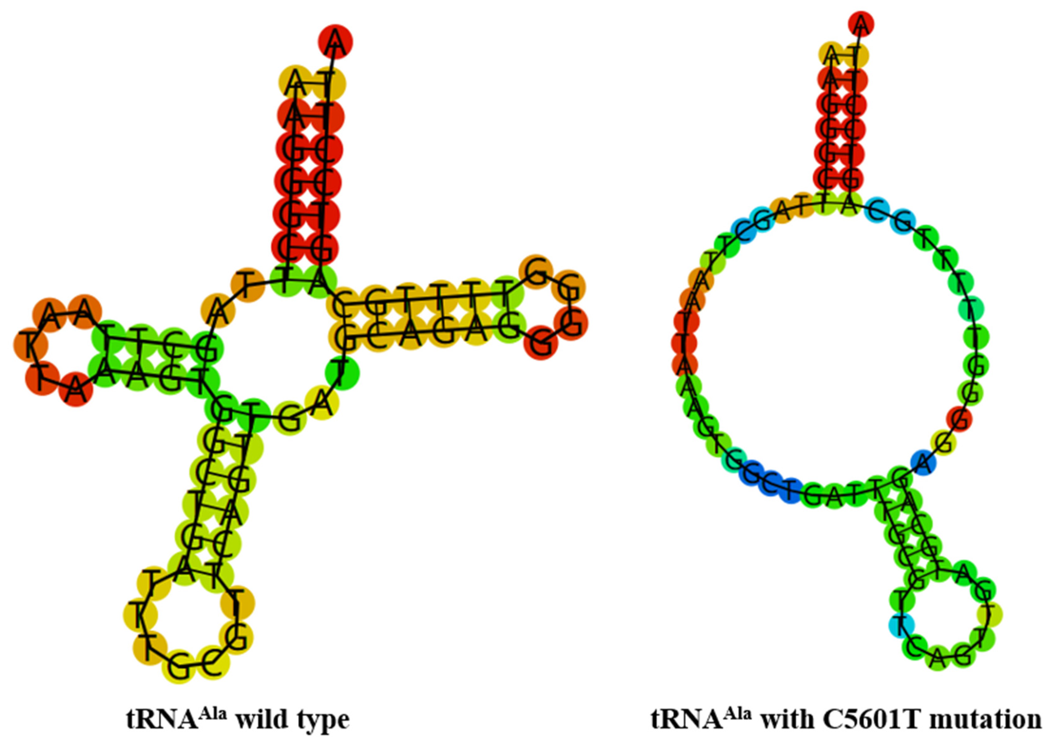 Biomolecules 13 00907 g004 Biomolecules 13 00907 g004