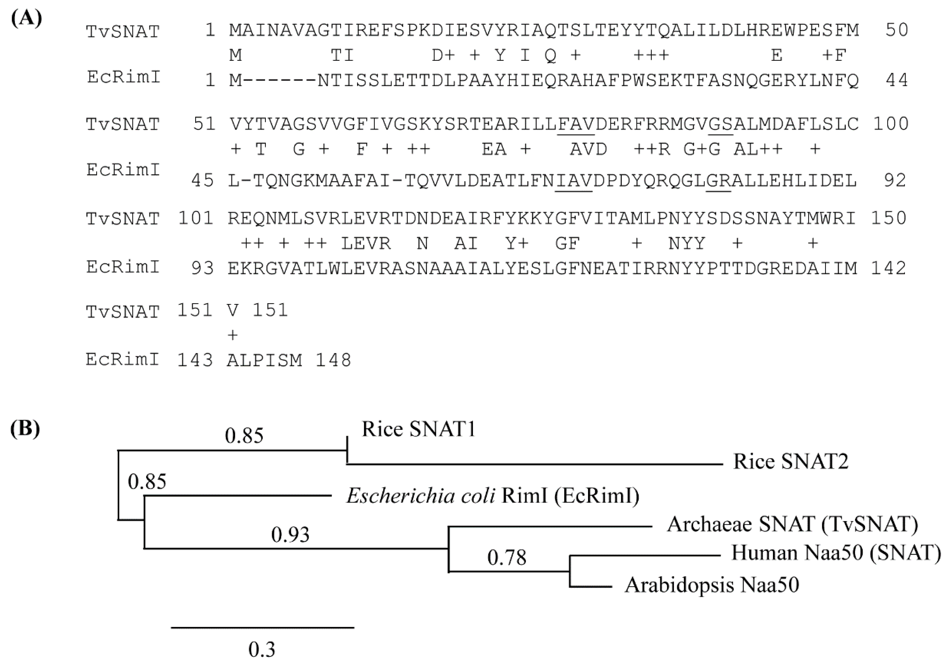 Biomolecules 13 00908 g001 Biomolecules 13 00908 g001