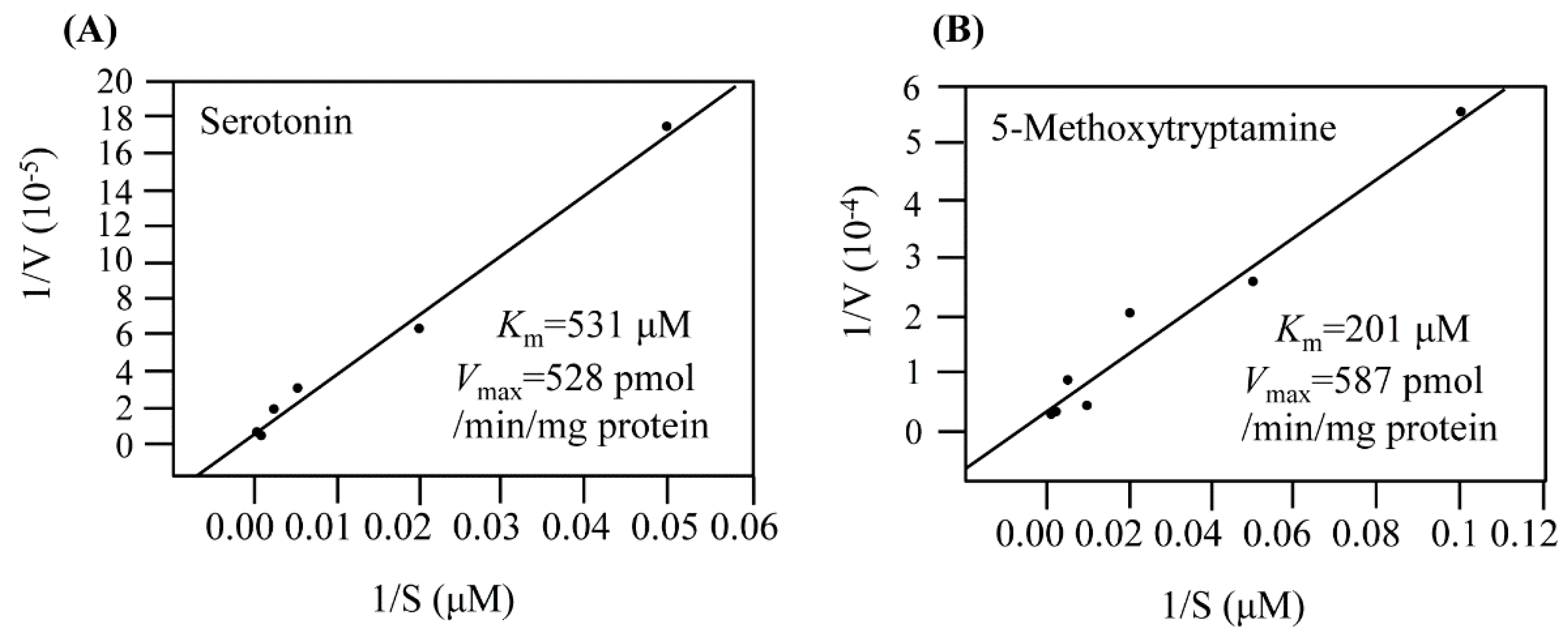 Biomolecules 13 00908 g004 Biomolecules 13 00908 g004