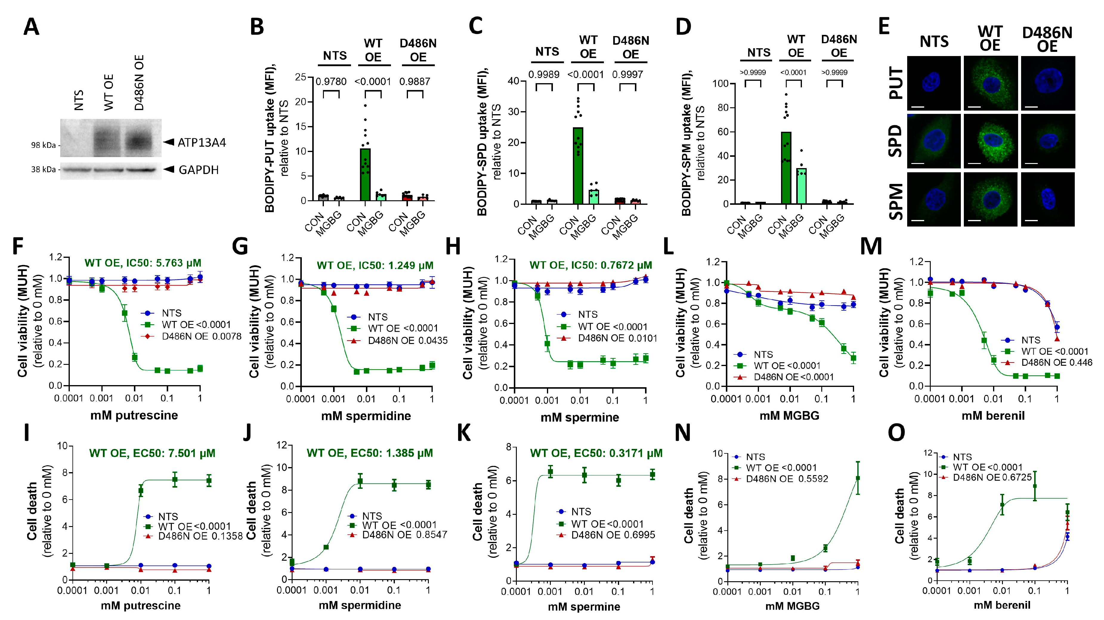 Biomolecules 13 00918 g004 Biomolecules 13 00918 g004