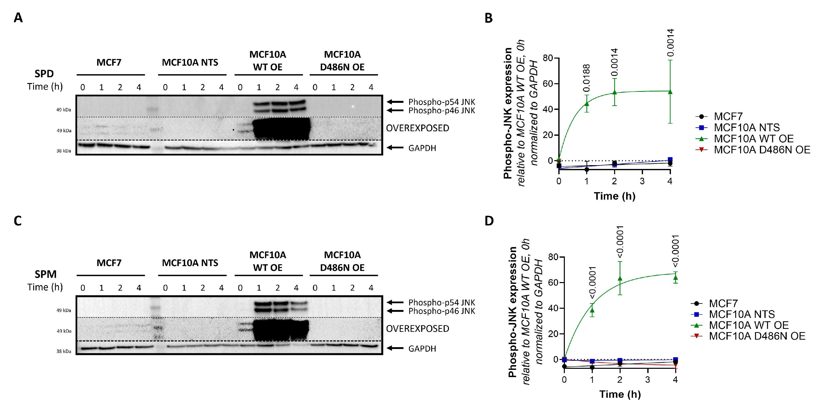 Biomolecules 13 00918 g005 Biomolecules 13 00918 g005