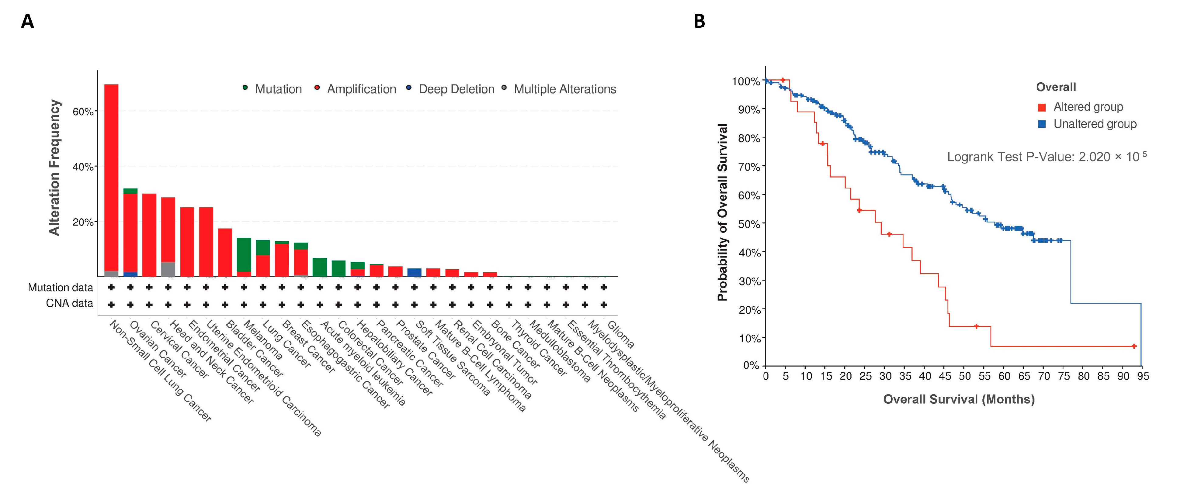 Biomolecules 13 00918 g006 Biomolecules 13 00918 g006