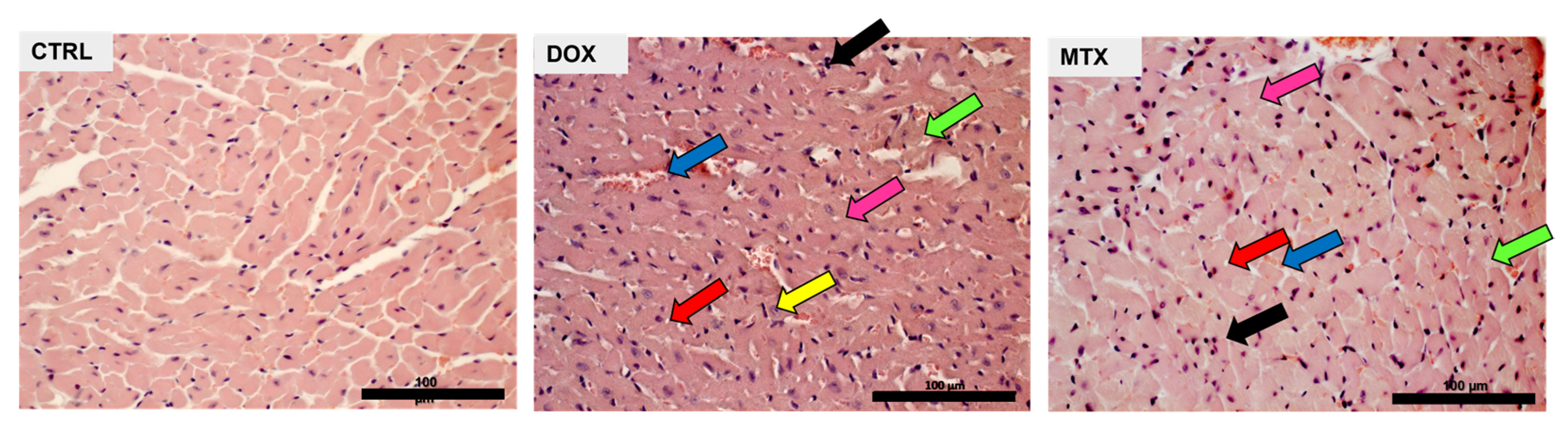 Biomolecules 13 00921 g001 Biomolecules 13 00921 g001