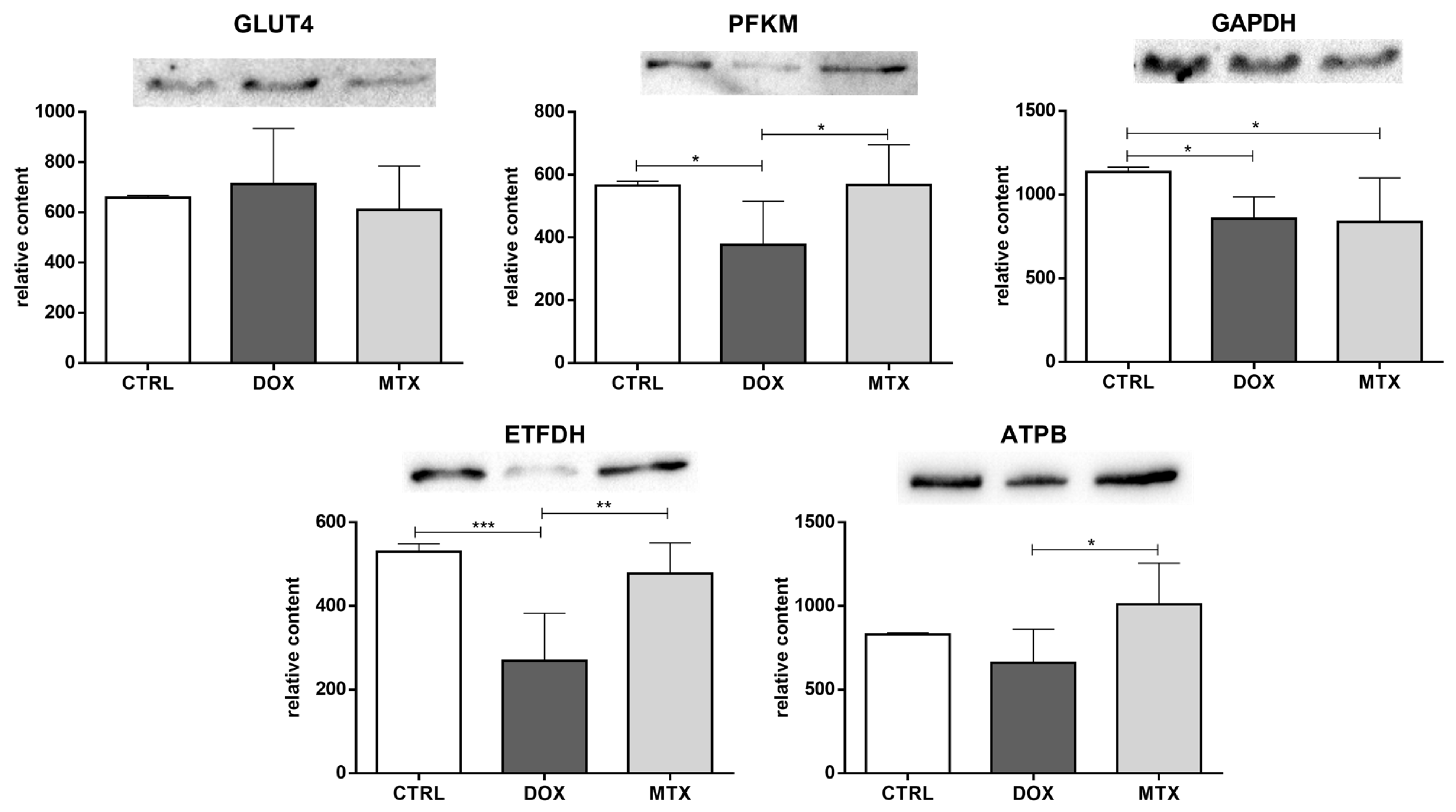 Biomolecules 13 00921 g002 Biomolecules 13 00921 g002