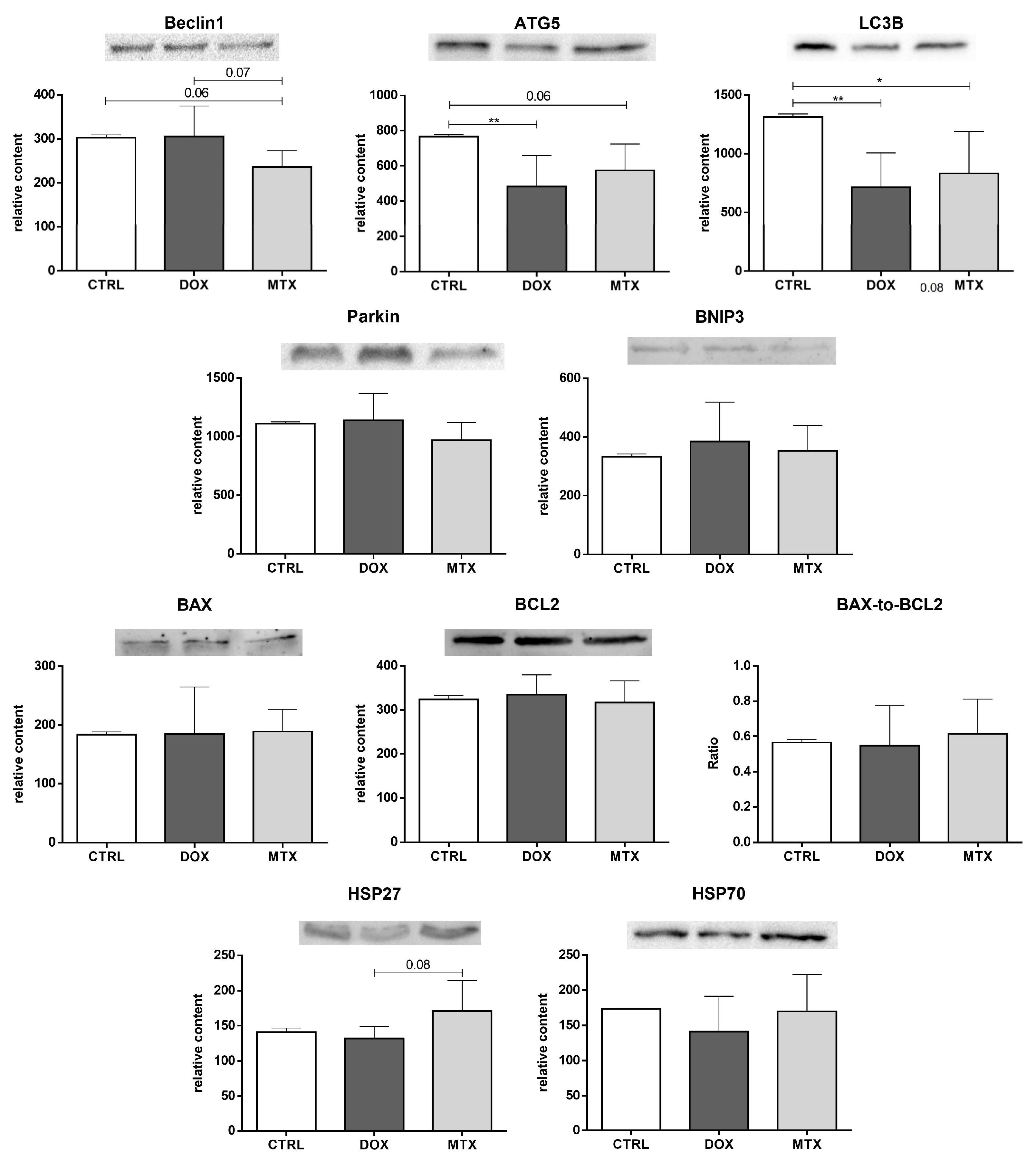 Biomolecules 13 00921 g008 Biomolecules 13 00921 g008