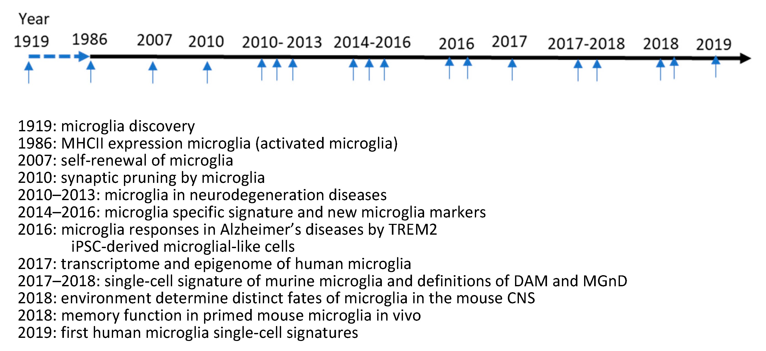 Biomolecules 13 00922 g001