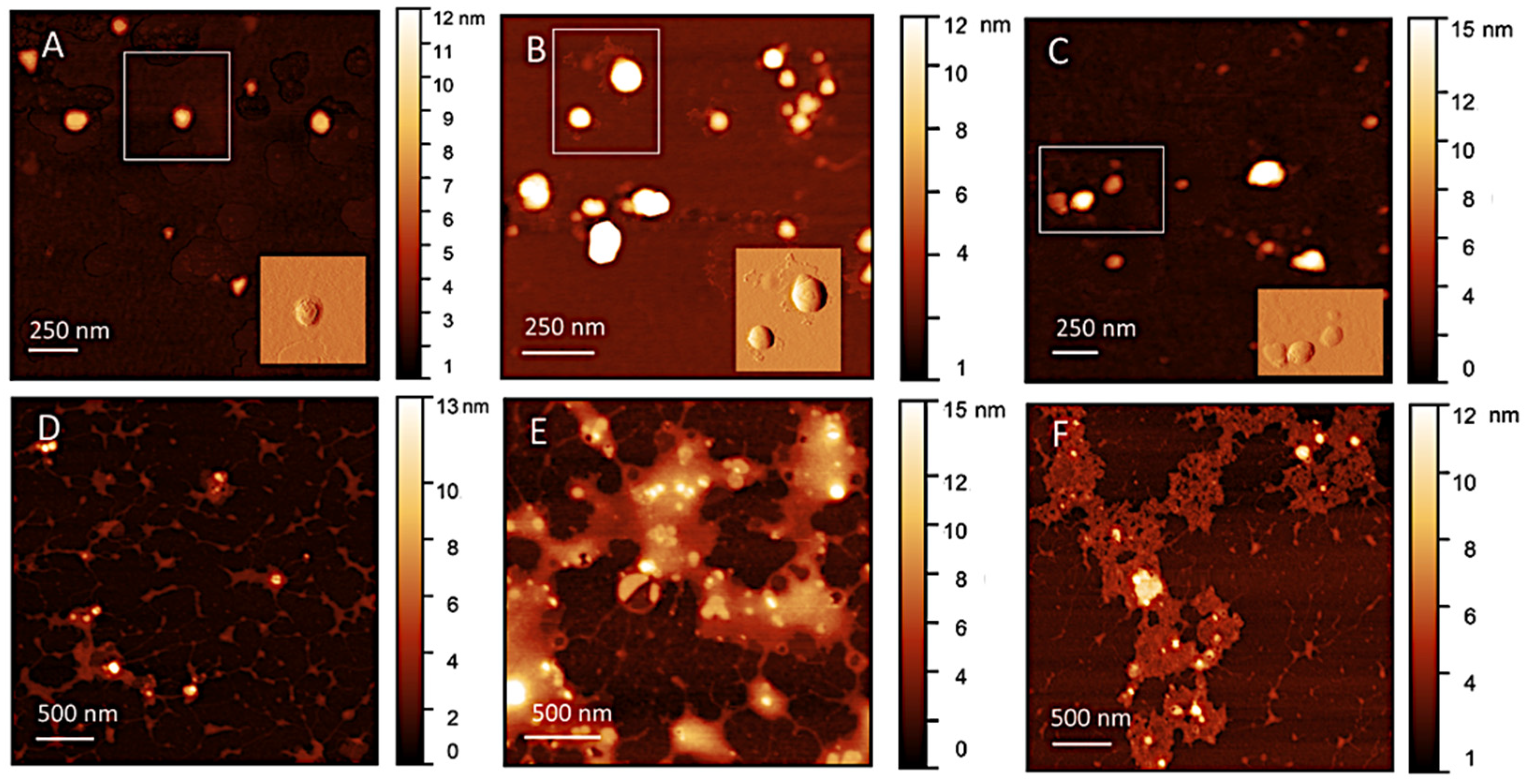 Biomolecules 13 00924 g002 Biomolecules 13 00924 g002