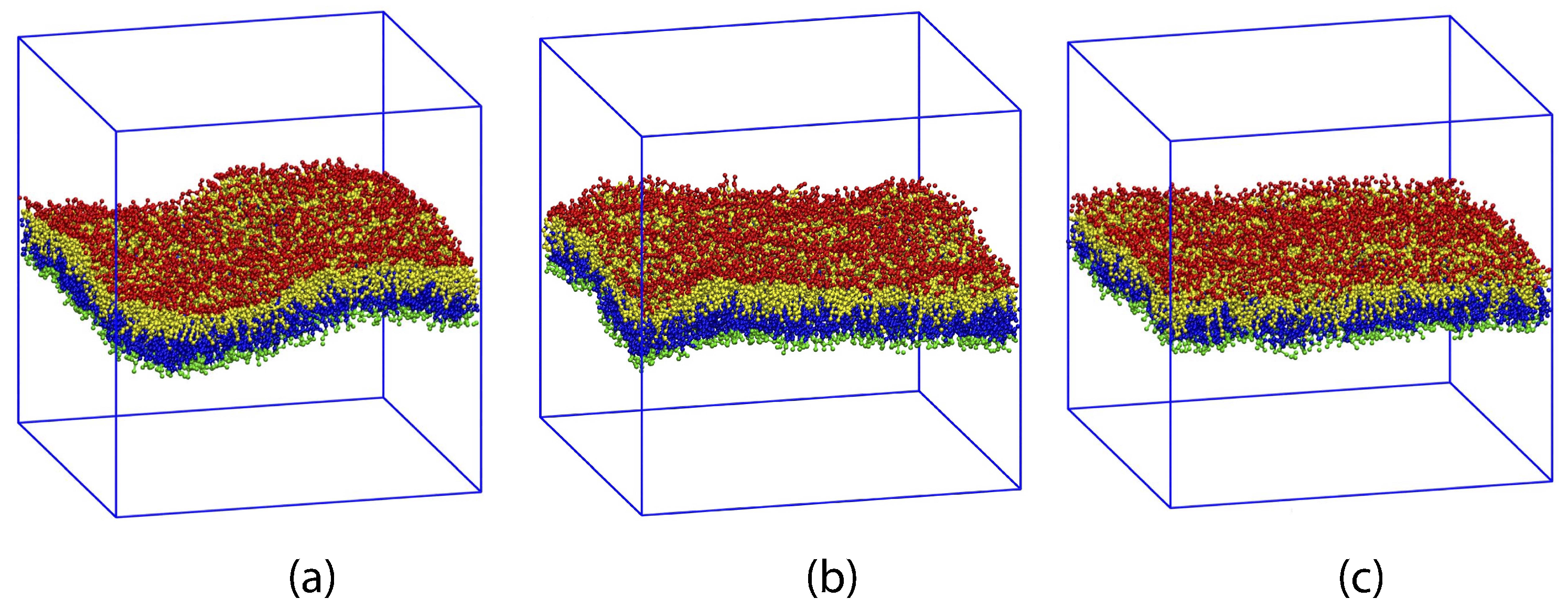 Biomolecules 13 00926 g005 Biomolecules 13 00926 g005