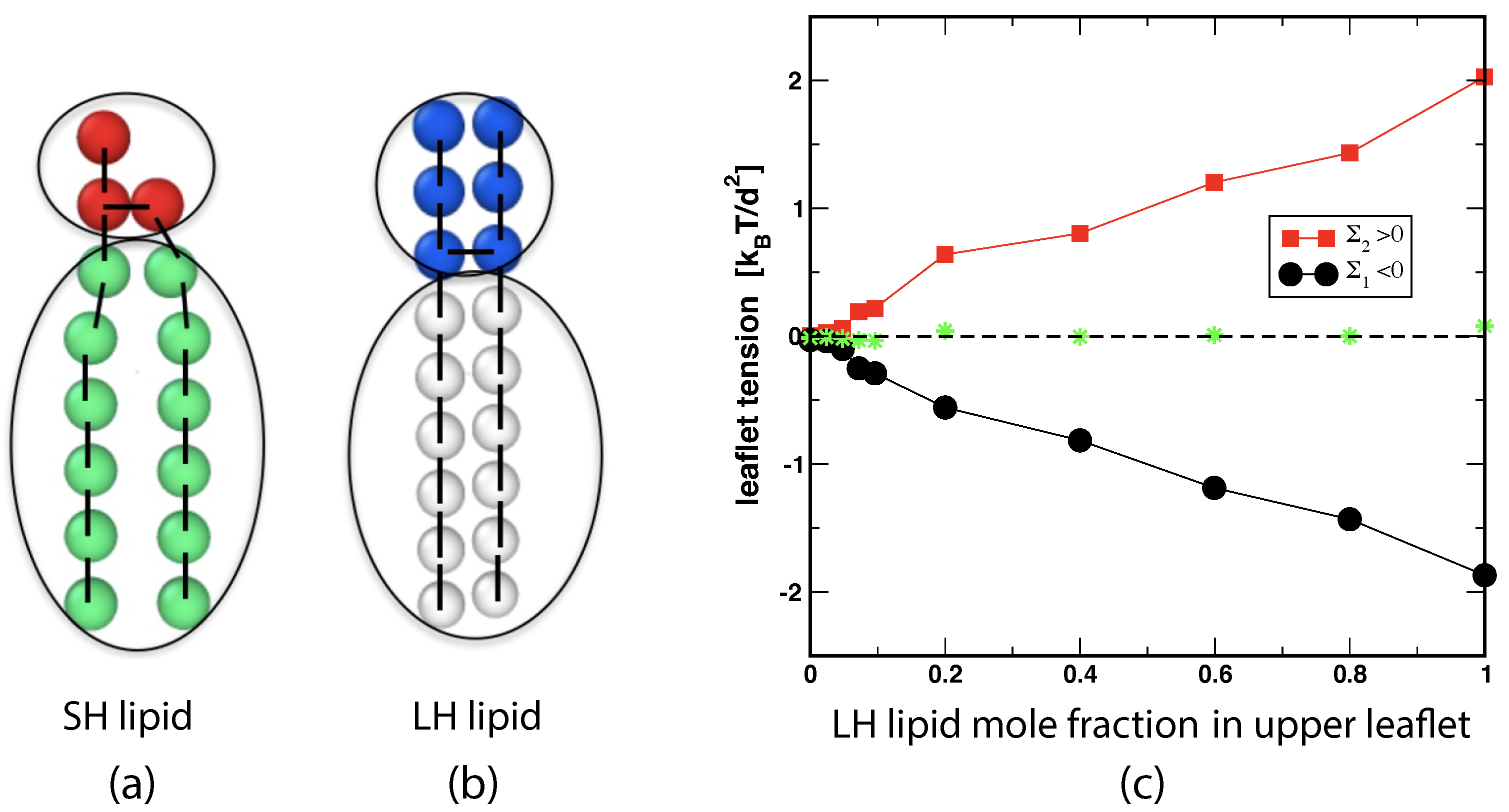 Biomolecules 13 00926 g010 Biomolecules 13 00926 g010