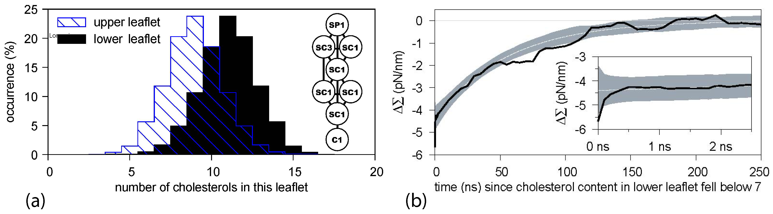 Biomolecules 13 00926 g013 Biomolecules 13 00926 g013