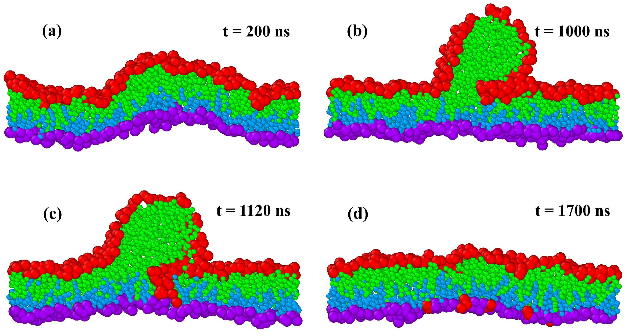Biomolecules 13 00926 g017 Biomolecules 13 00926 g017