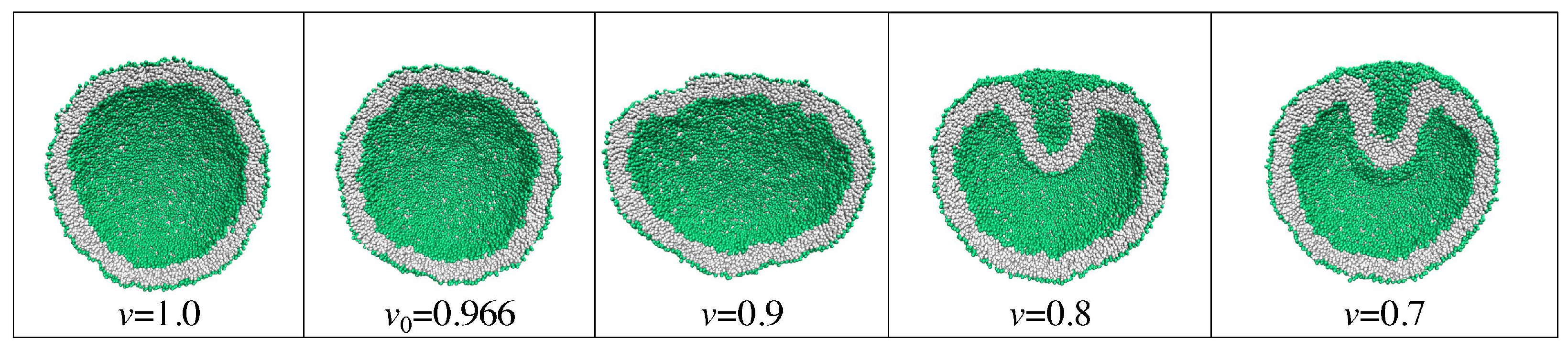 Biomolecules 13 00926 g020 Biomolecules 13 00926 g020