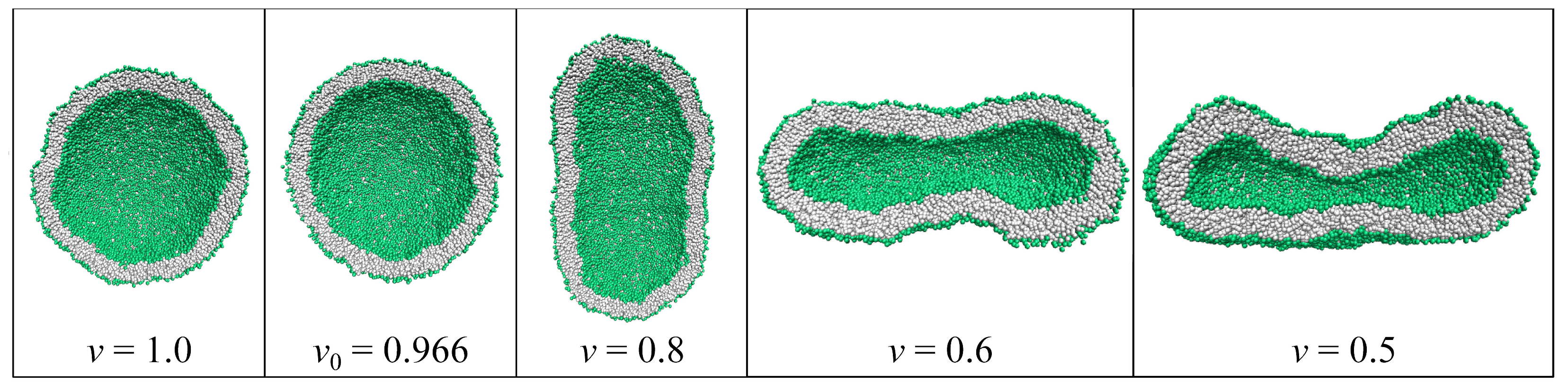 Biomolecules 13 00926 g021 Biomolecules 13 00926 g021