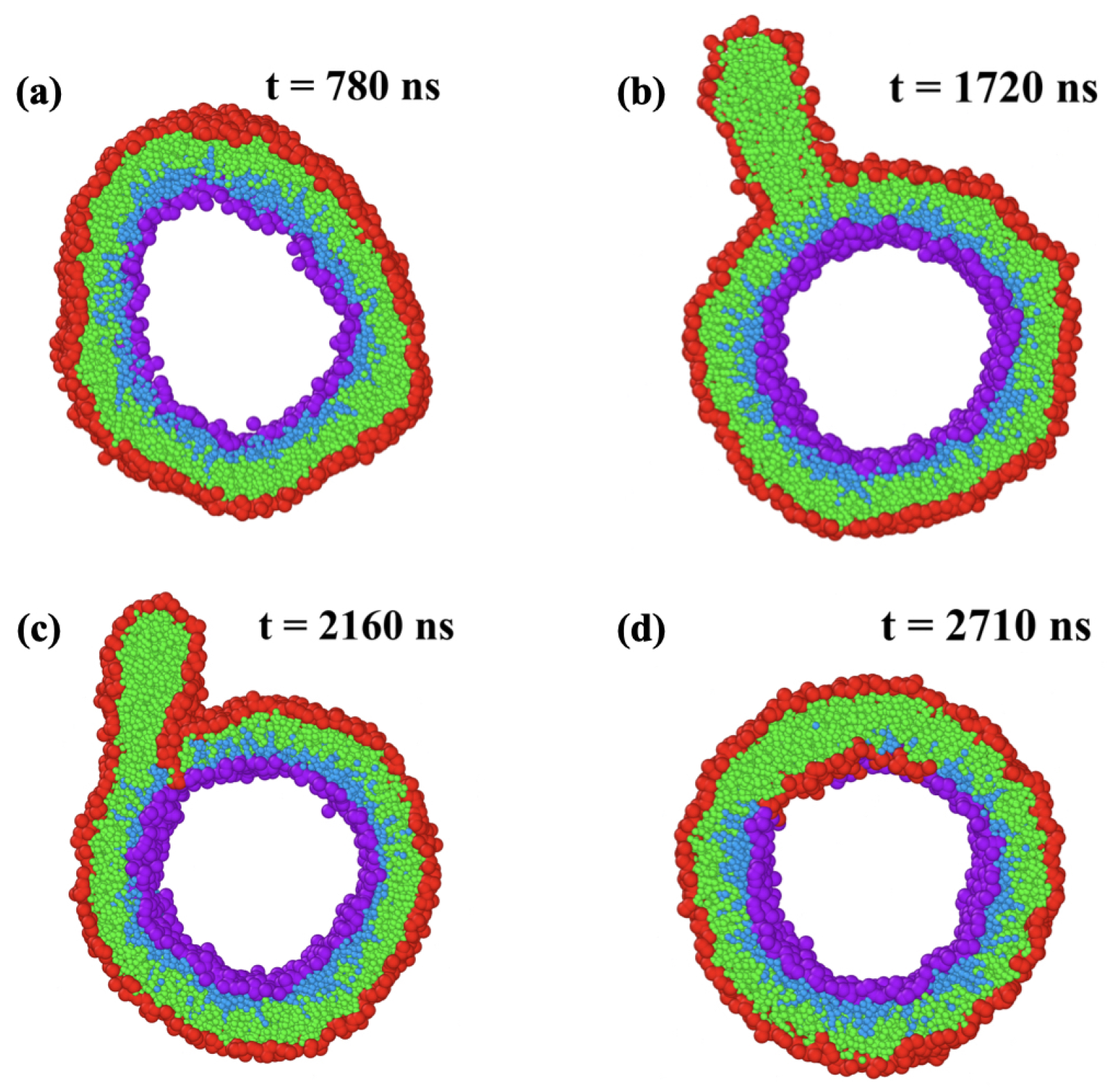 Biomolecules 13 00926 g026 Biomolecules 13 00926 g026