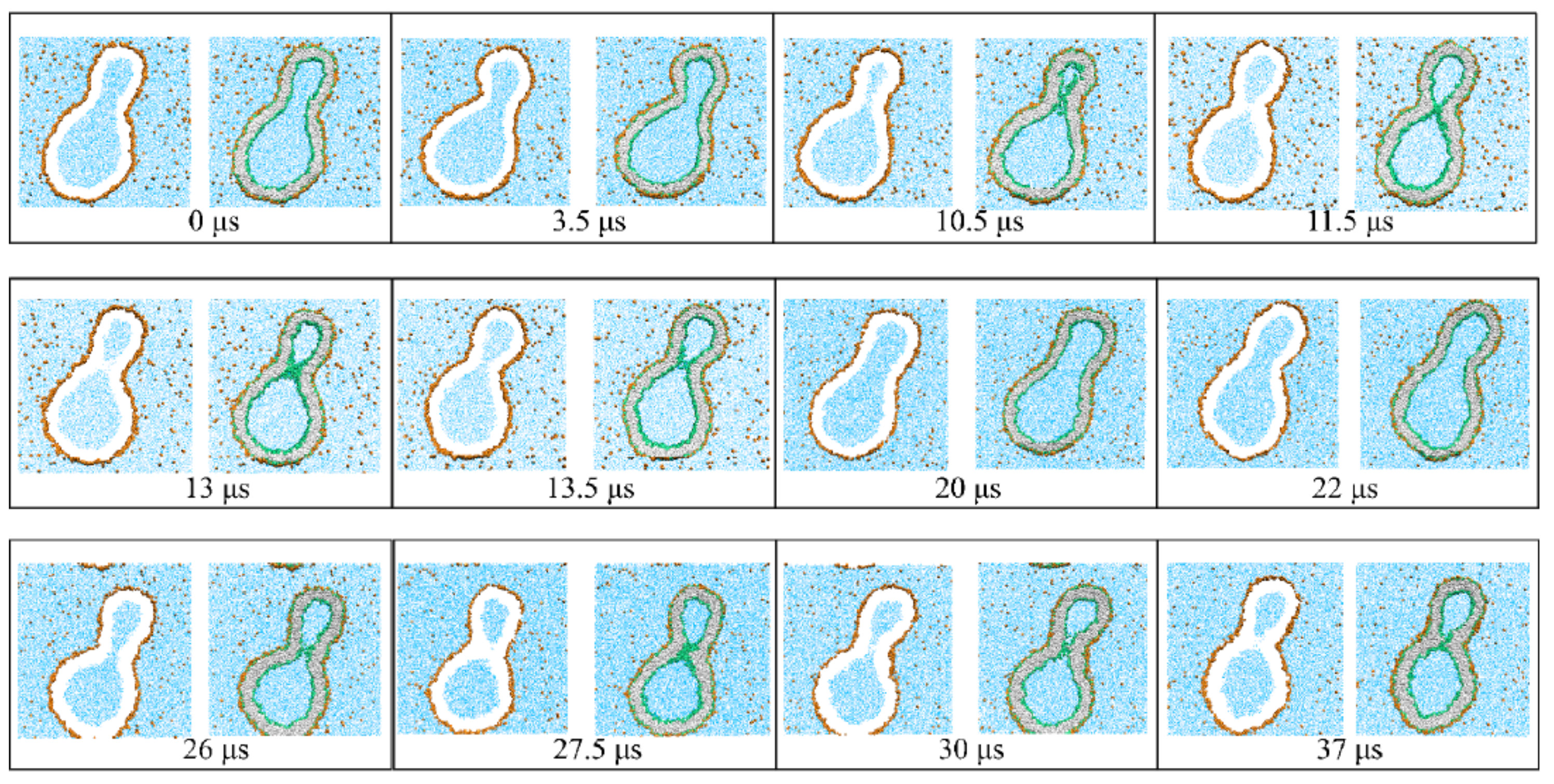 Biomolecules 13 00926 g029 Biomolecules 13 00926 g029