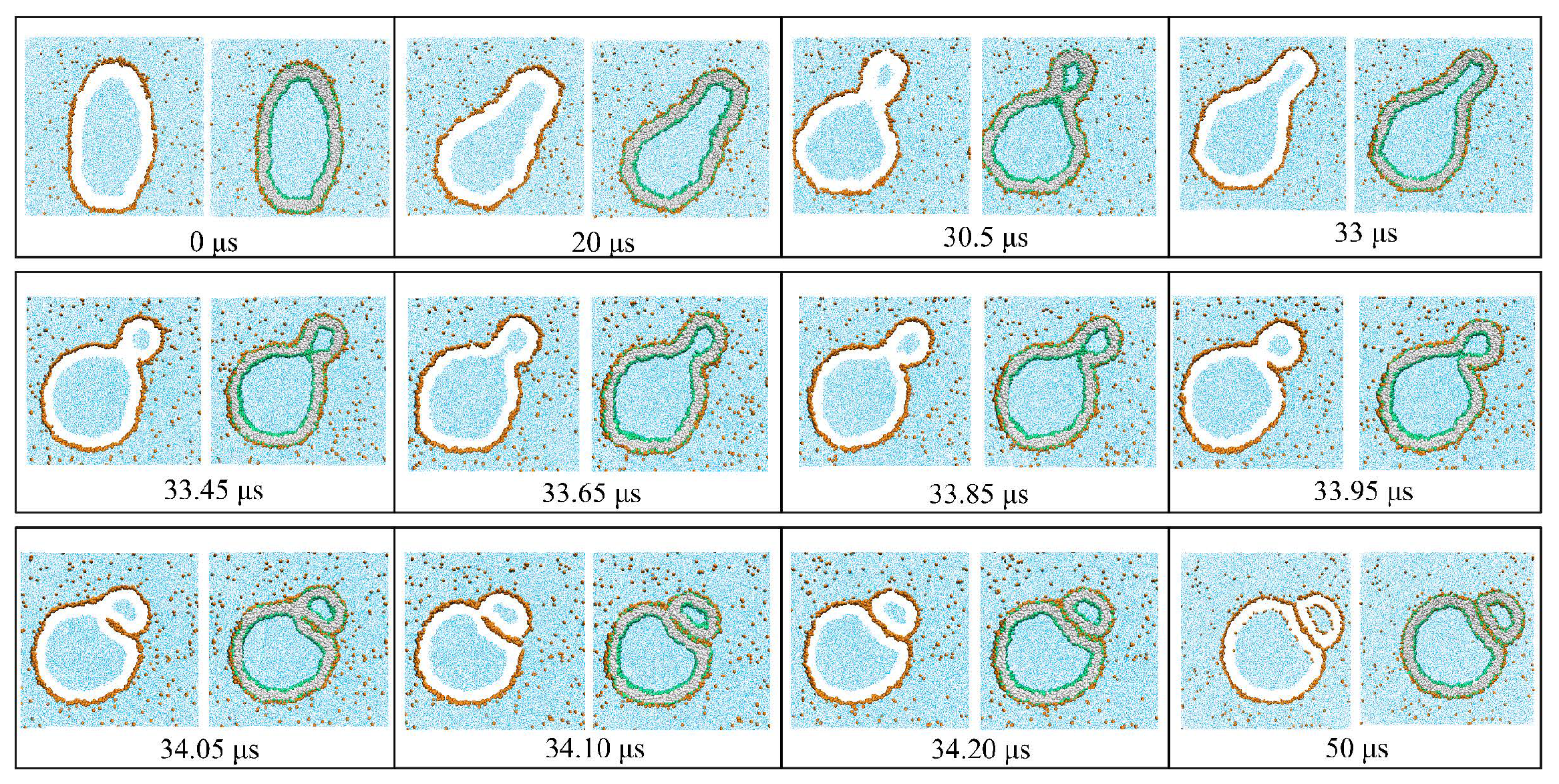 Biomolecules 13 00926 g031 Biomolecules 13 00926 g031