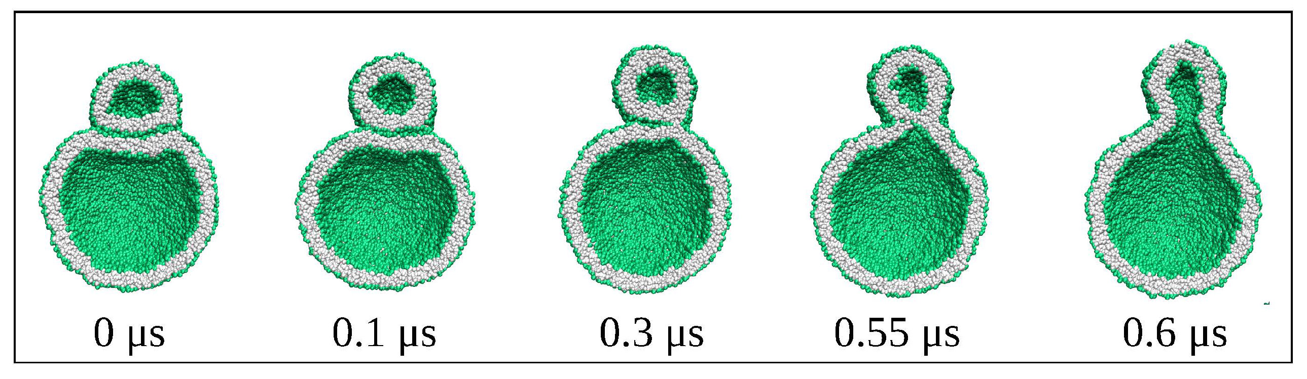 Biomolecules 13 00926 g033 Biomolecules 13 00926 g033