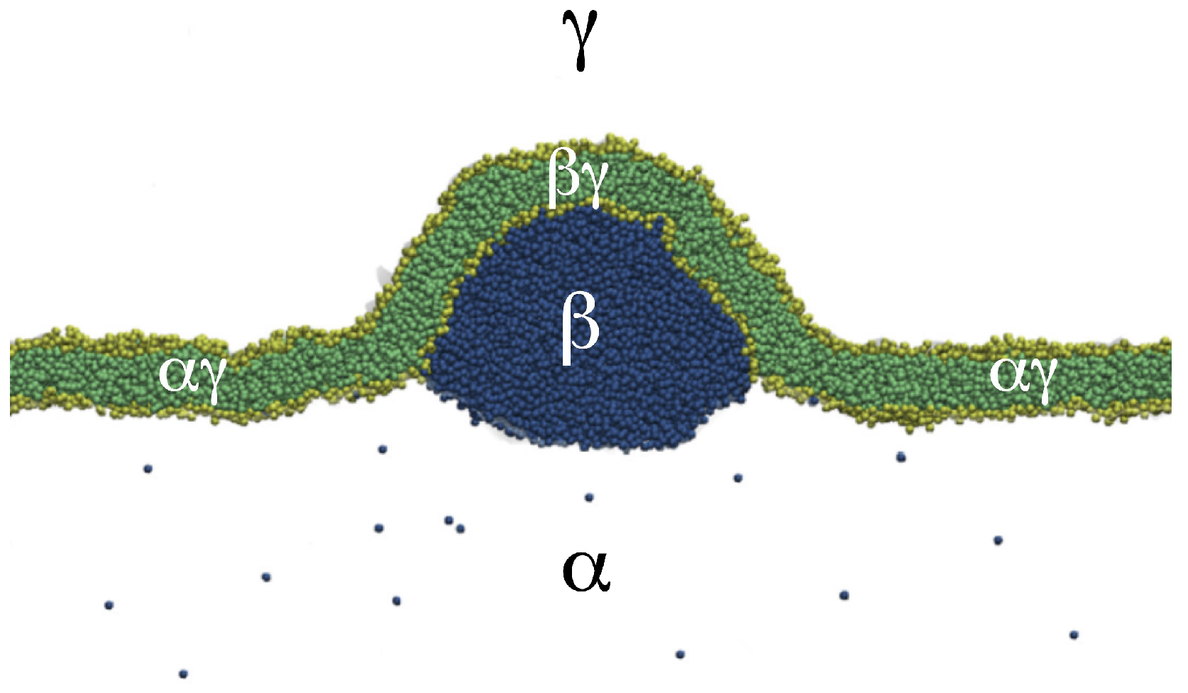 Biomolecules 13 00926 g034 Biomolecules 13 00926 g034