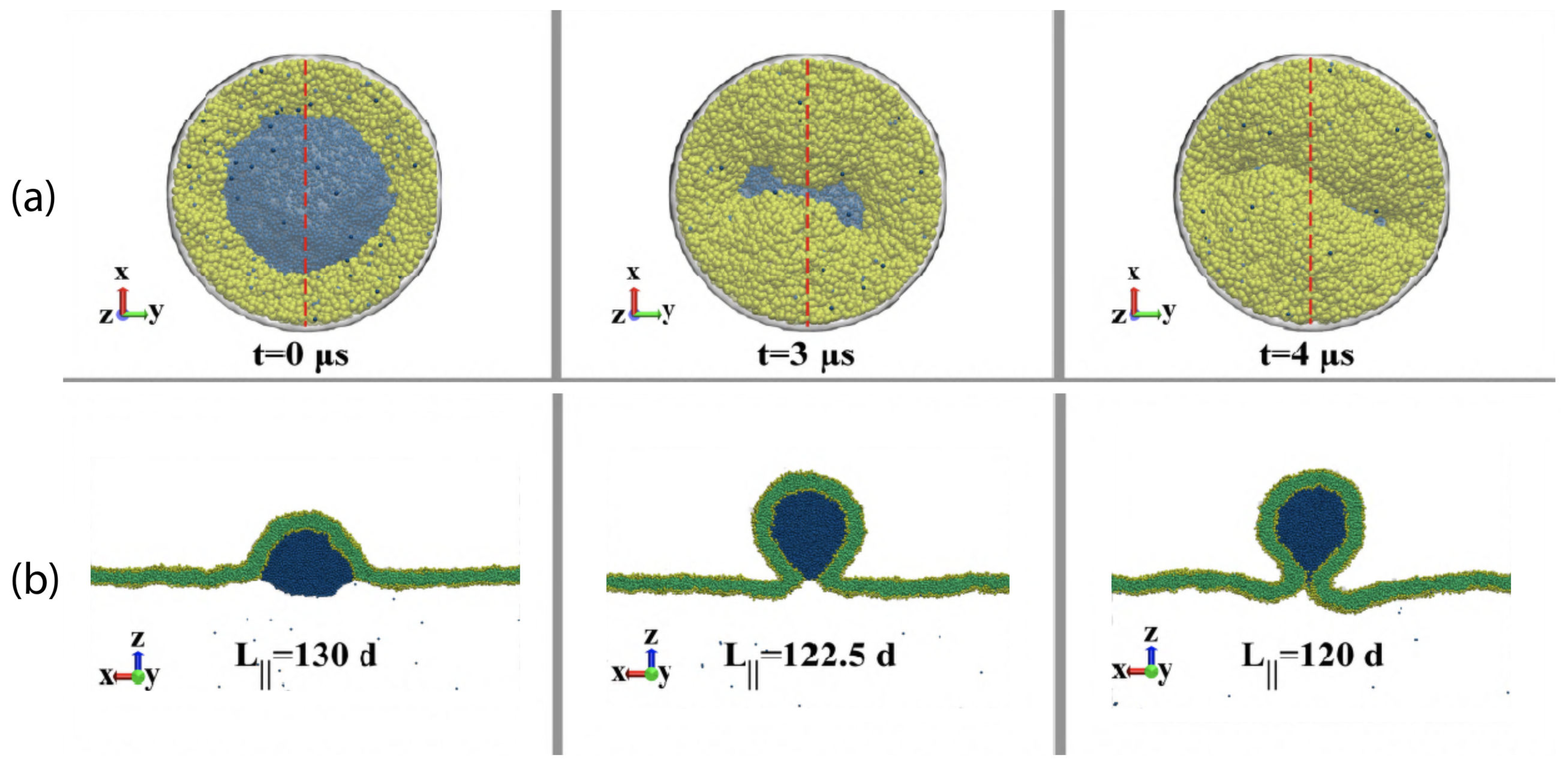 Biomolecules 13 00926 g035 Biomolecules 13 00926 g035