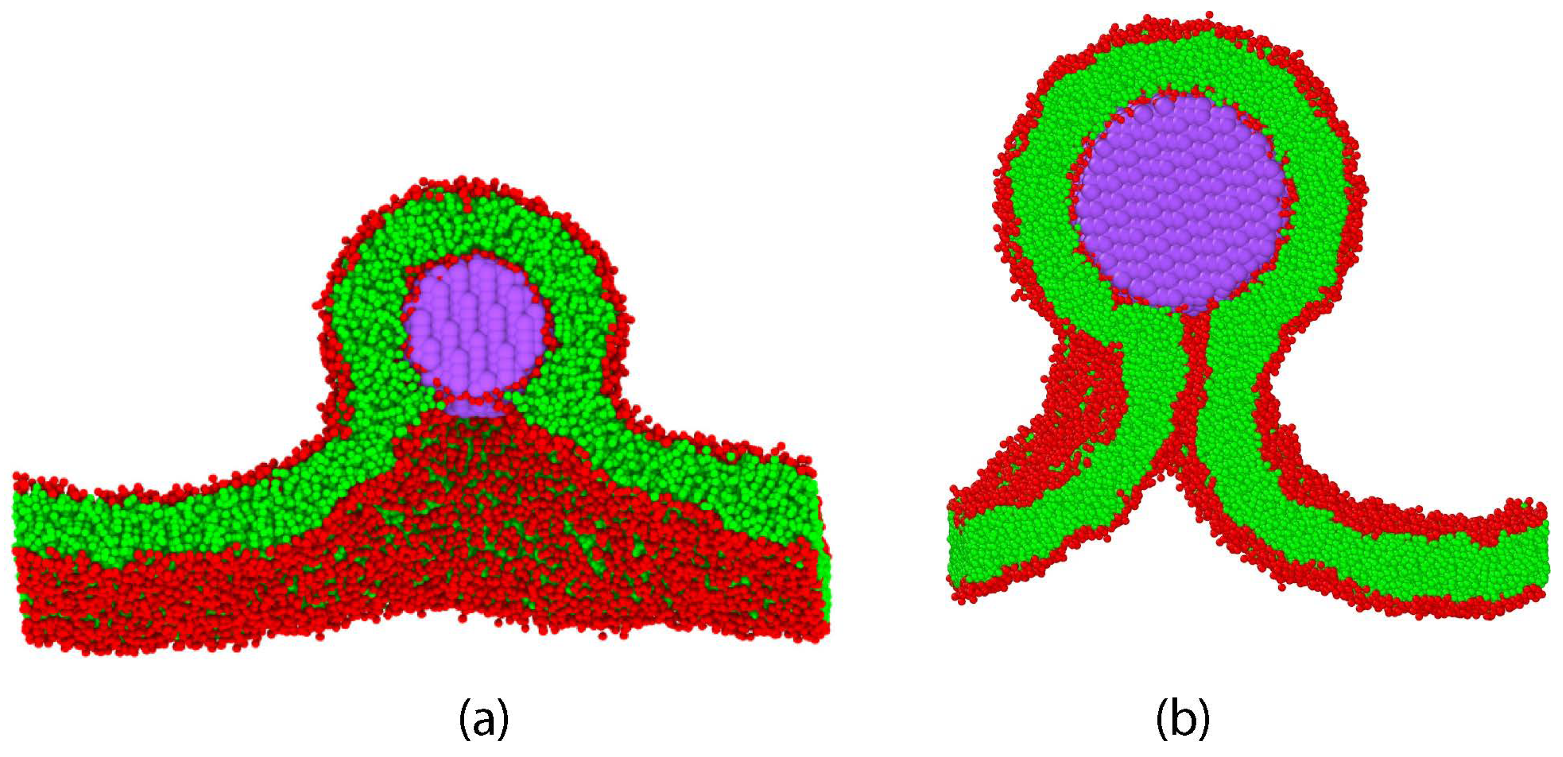 Biomolecules 13 00926 g036 Biomolecules 13 00926 g036