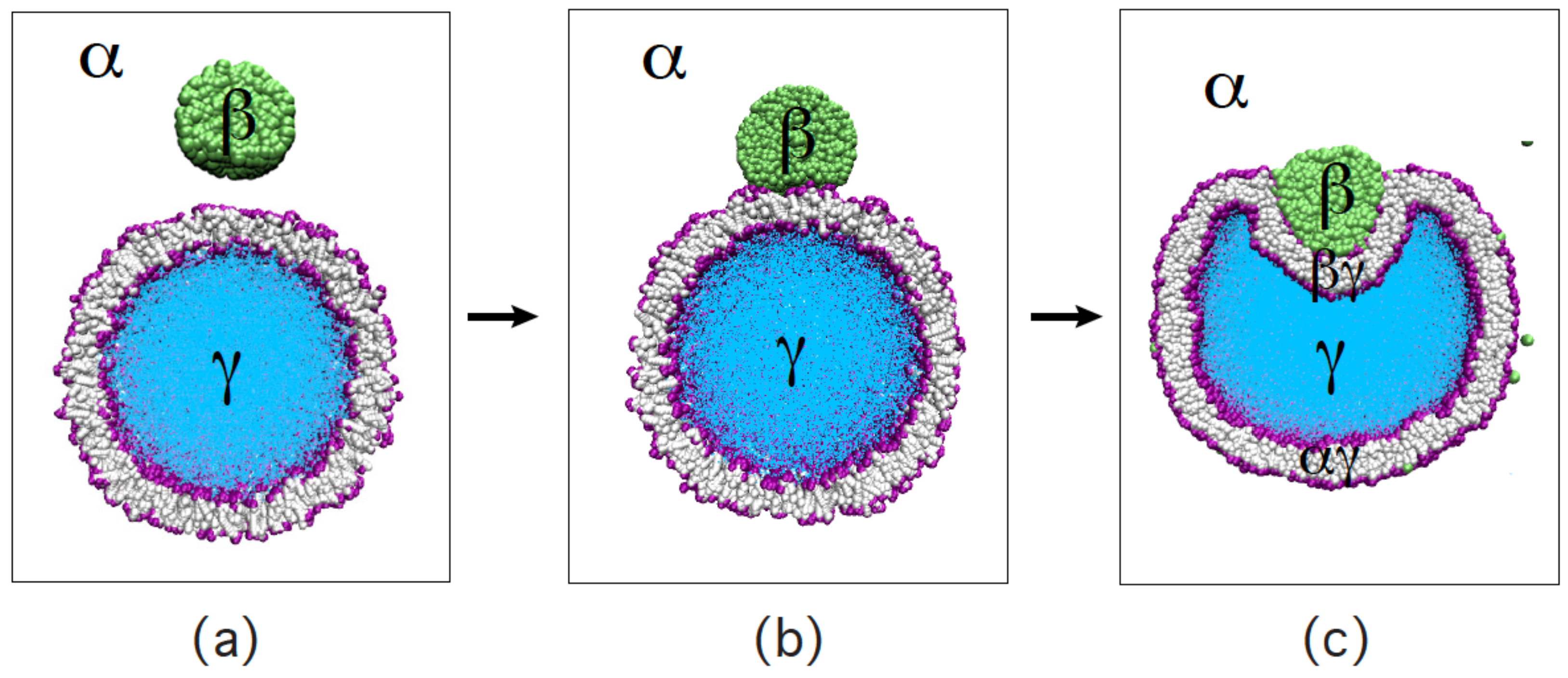 Biomolecules 13 00926 g038 Biomolecules 13 00926 g038