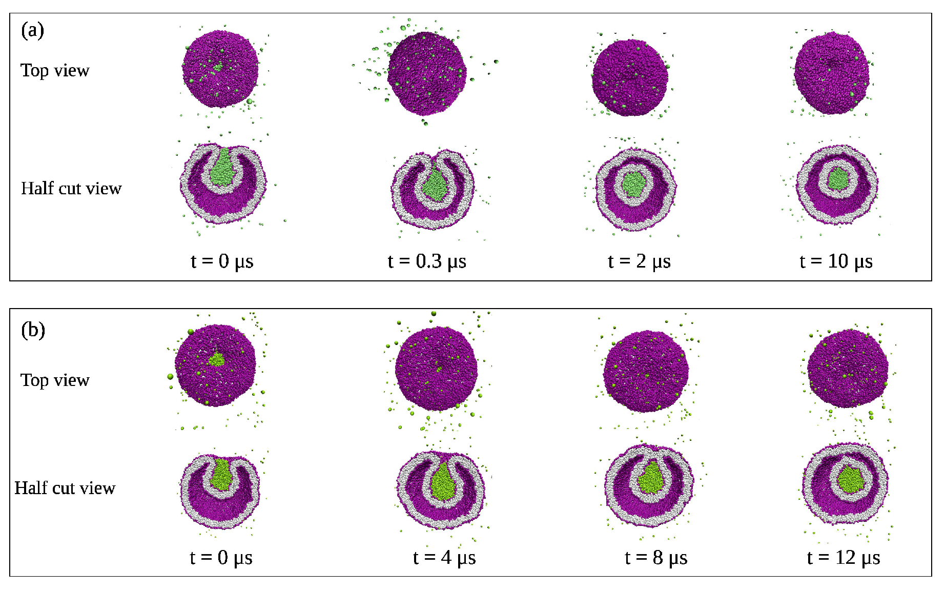 Biomolecules 13 00926 g039 Biomolecules 13 00926 g039