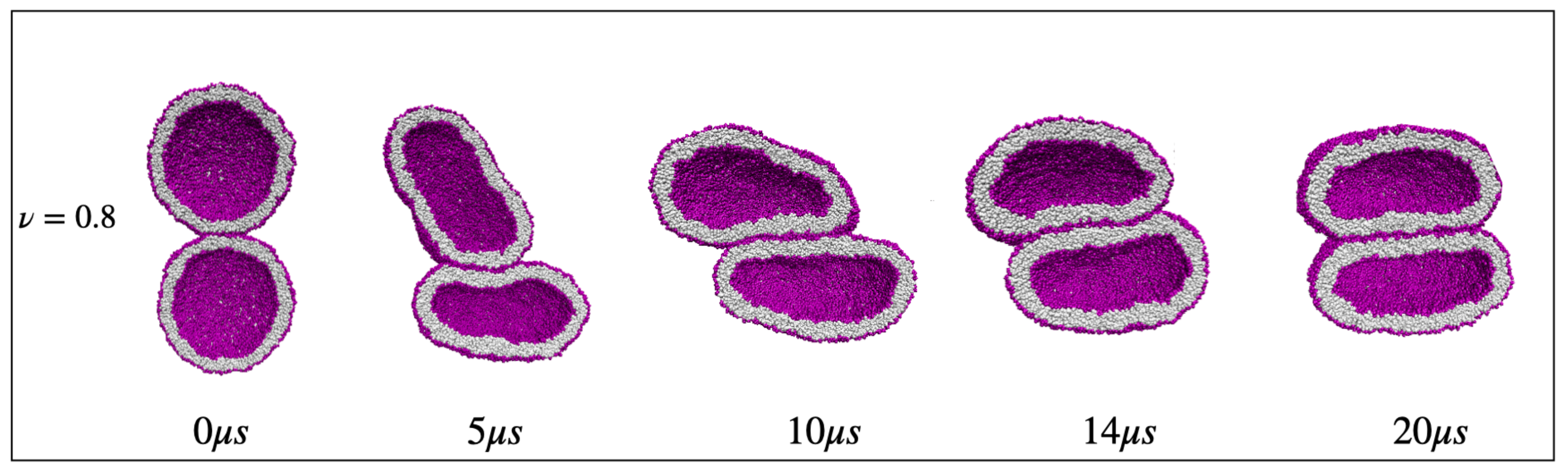 Biomolecules 13 00926 g043 Biomolecules 13 00926 g043