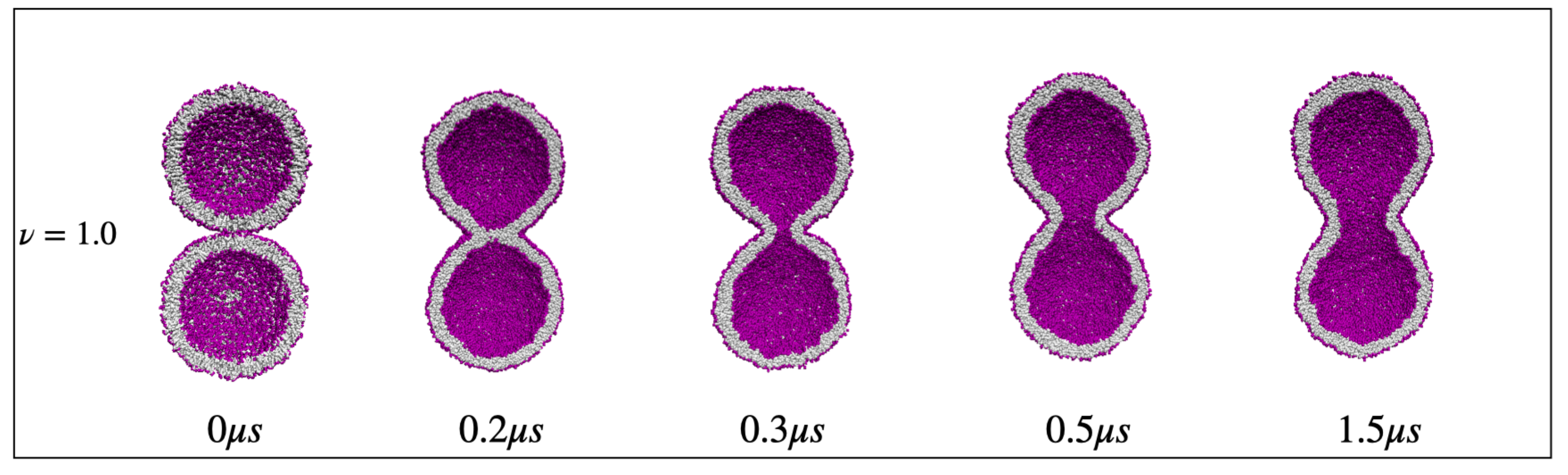 Biomolecules 13 00926 g044 Biomolecules 13 00926 g044
