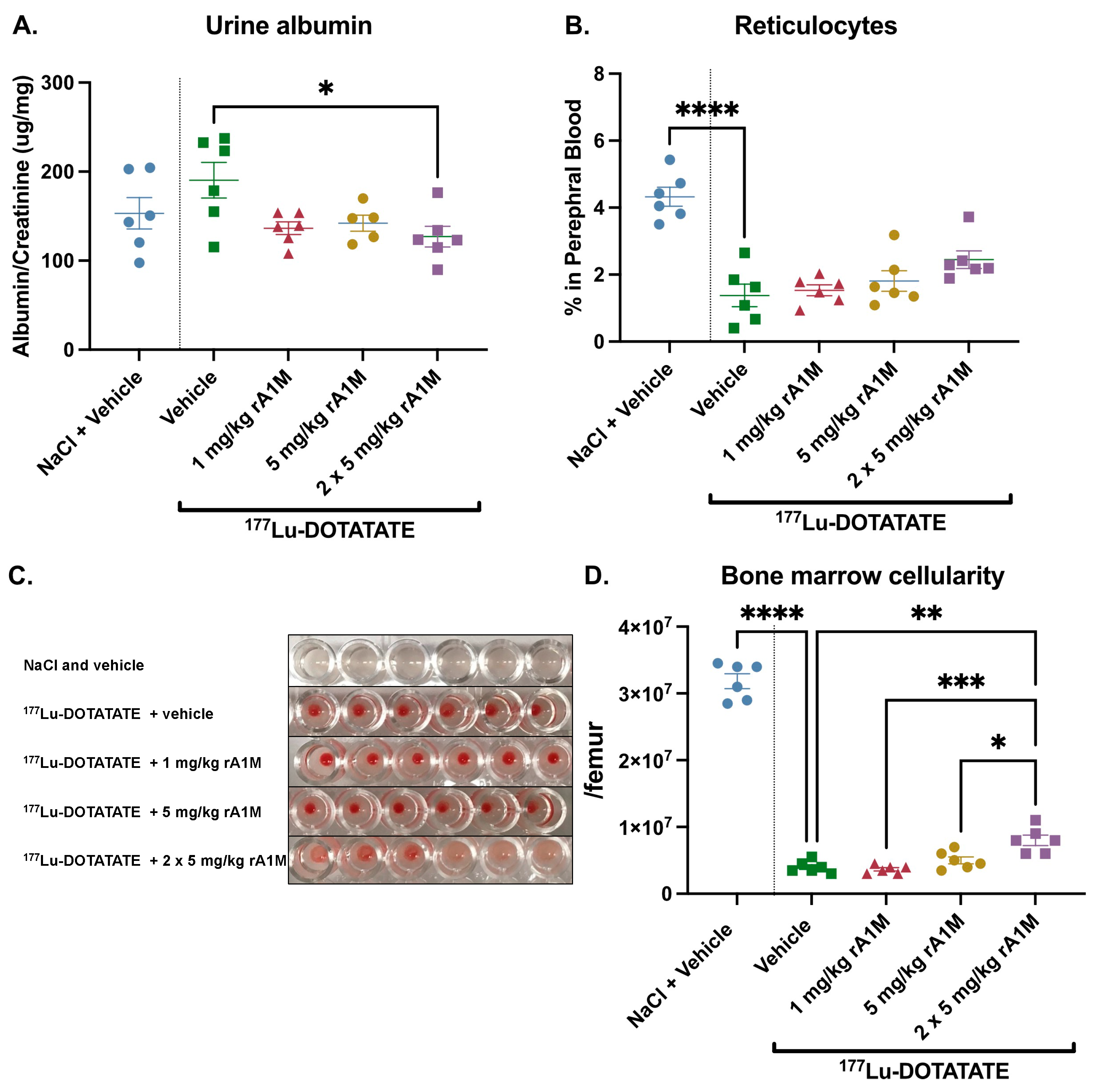 Biomolecules 13 00928 g003