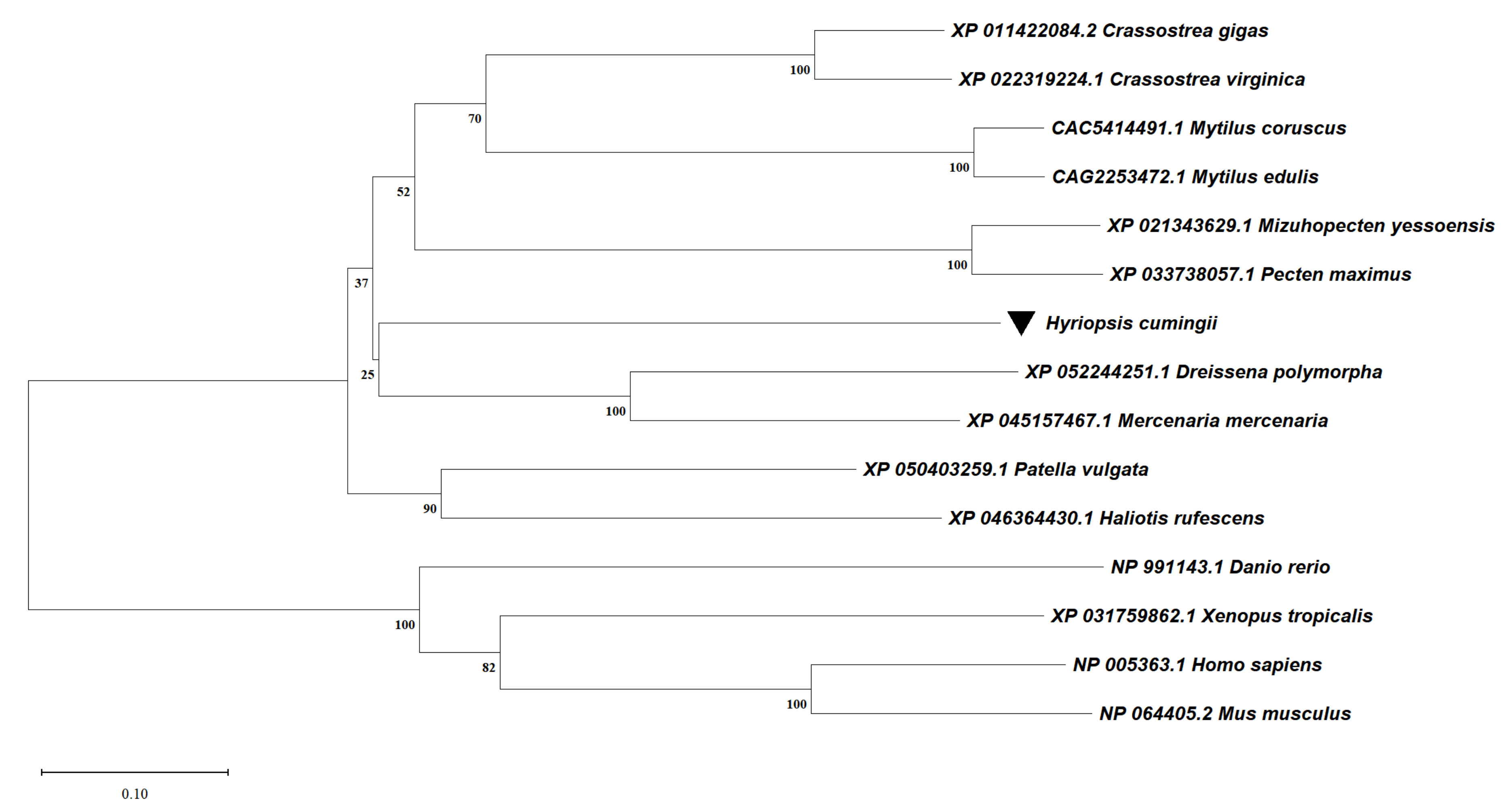 Biomolecules 13 00931 g005