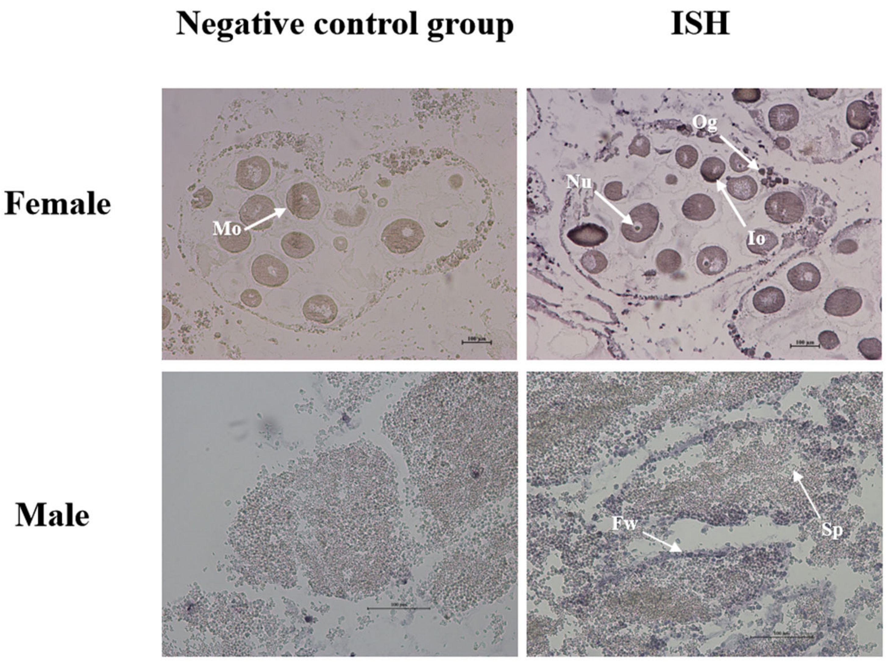 Biomolecules 13 00931 g009