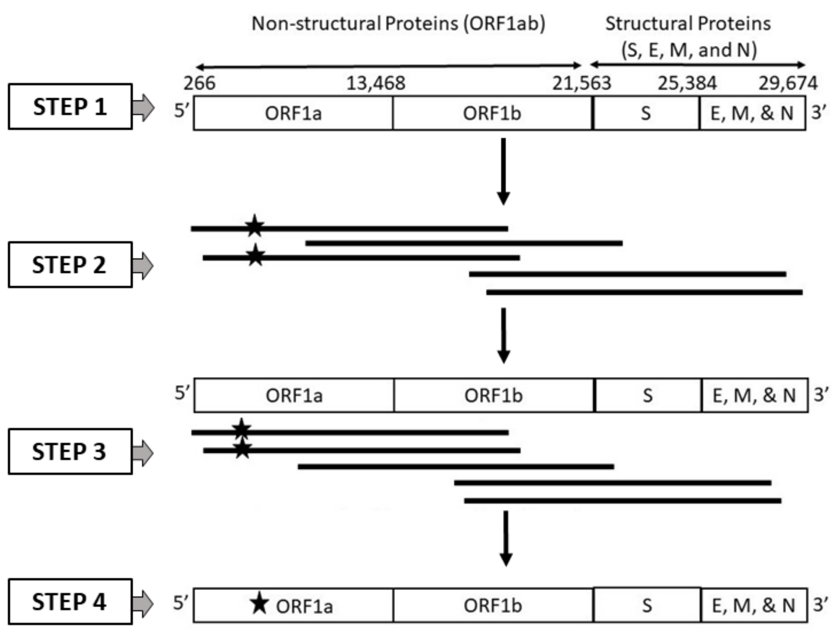 Biomolecules 13 00934 g001 Biomolecules 13 00934 g001