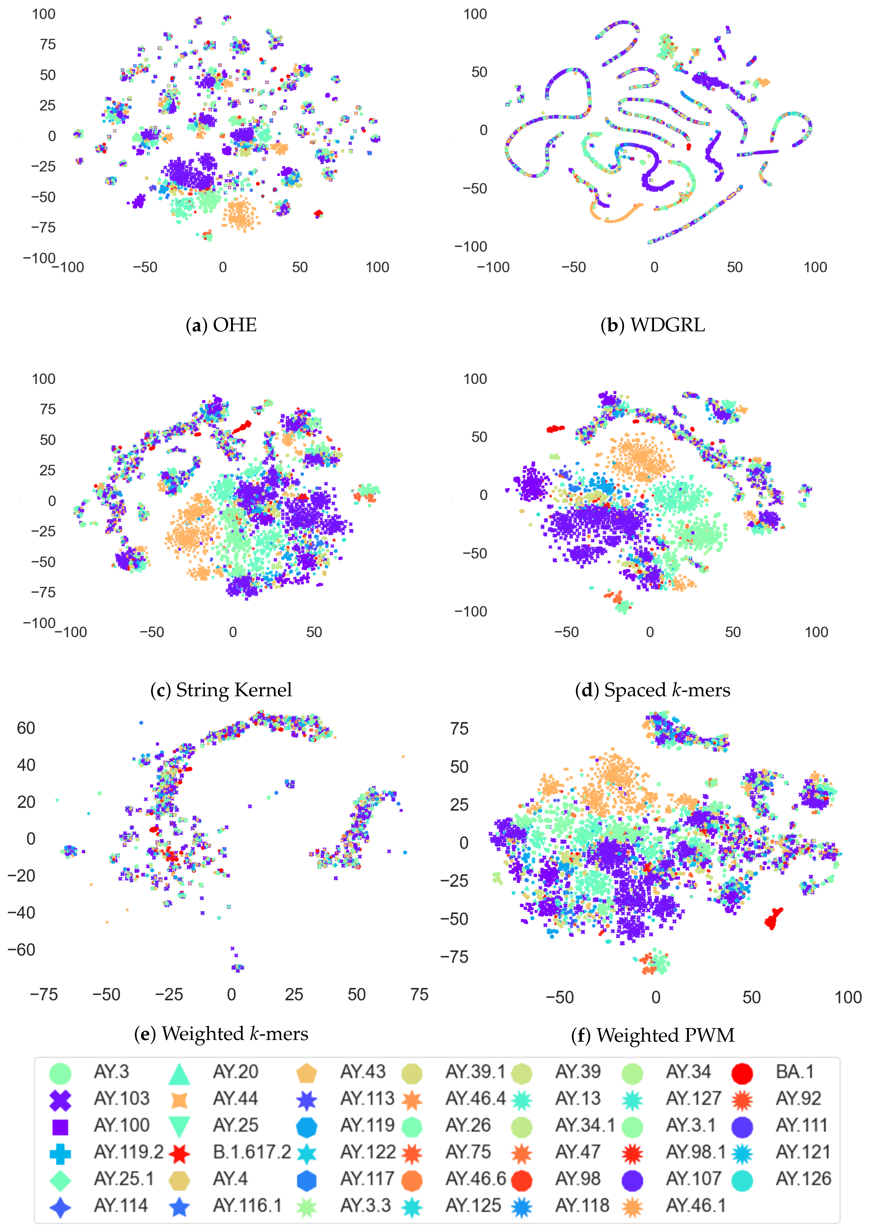 Biomolecules 13 00934 g006 Biomolecules 13 00934 g006