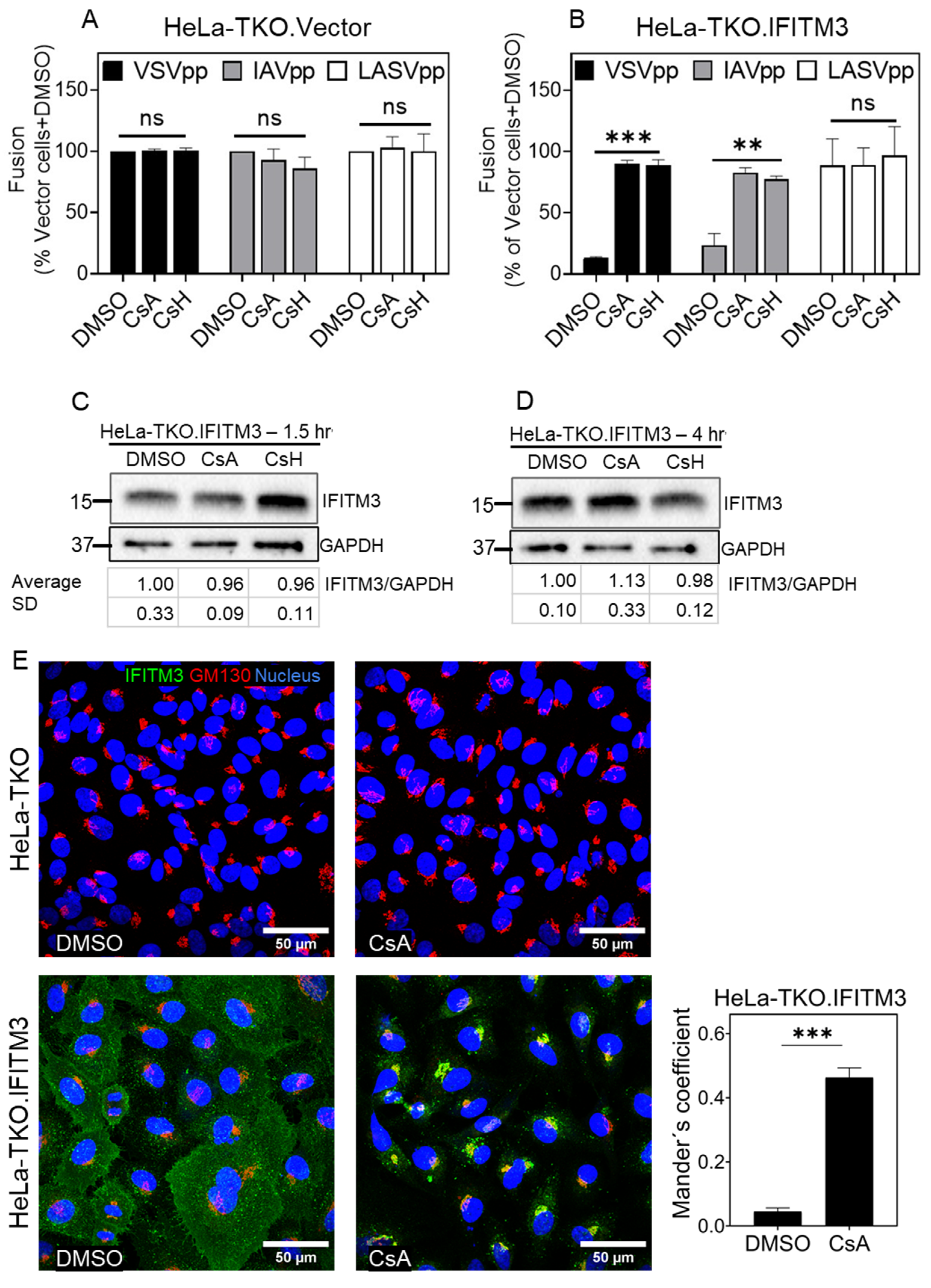 Biomolecules 13 00937 g007