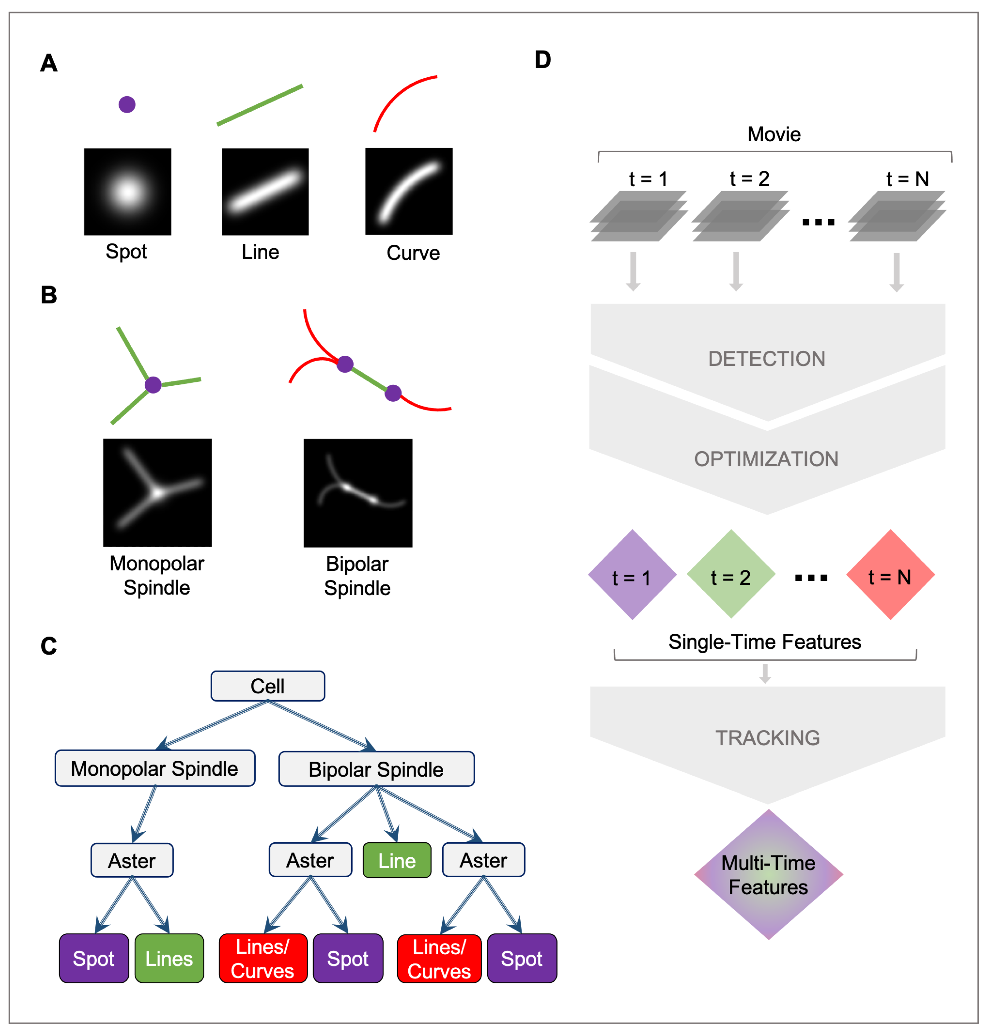 Biomolecules 13 00939 g002 Biomolecules 13 00939 g002