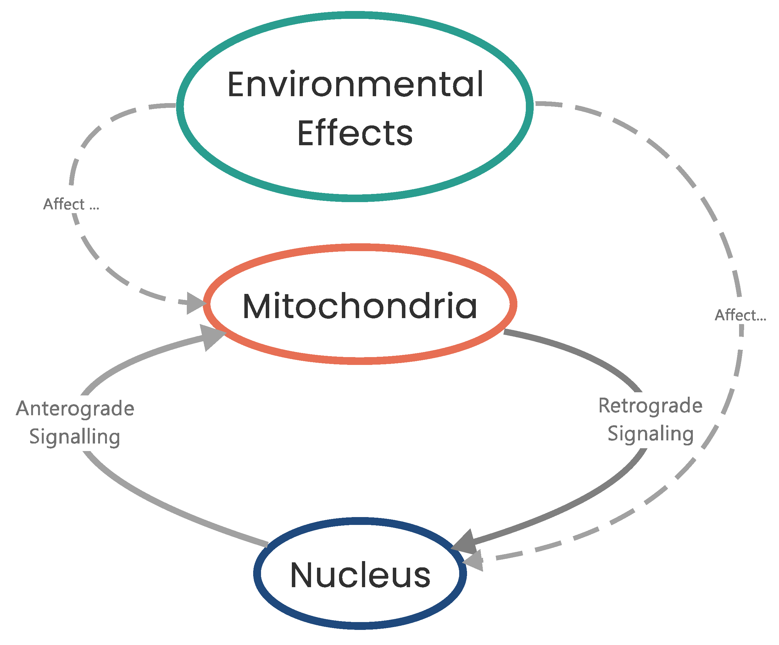 Biomolecules 13 00944 g004 Biomolecules 13 00944 g004