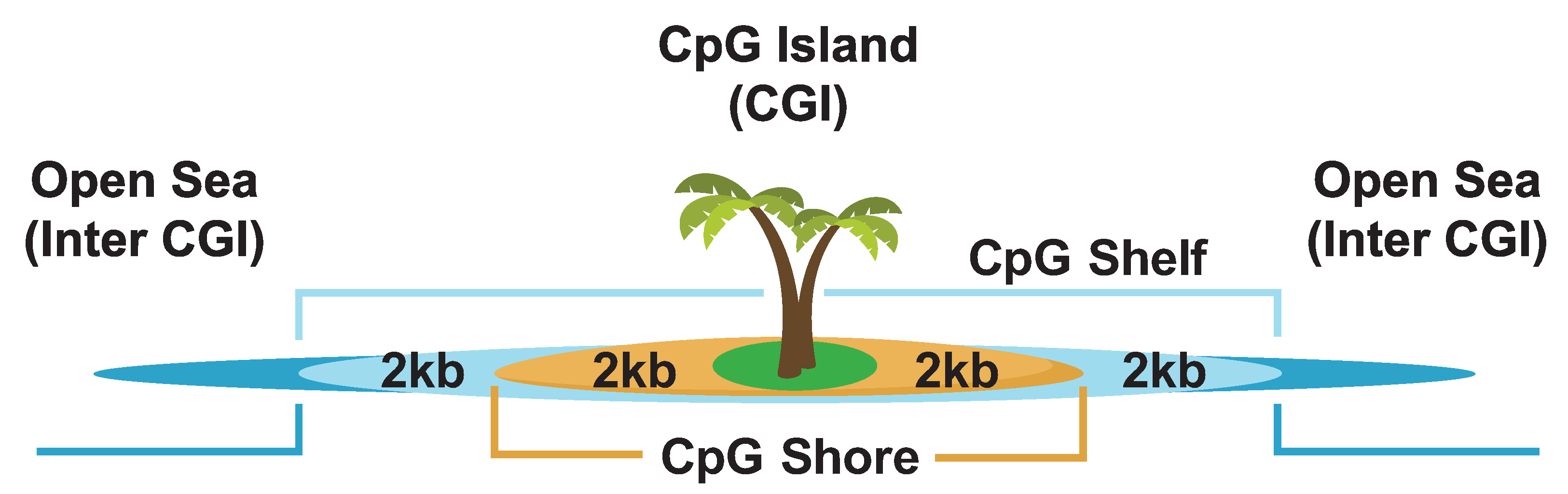 Biomolecules 13 00944 g011 Biomolecules 13 00944 g011