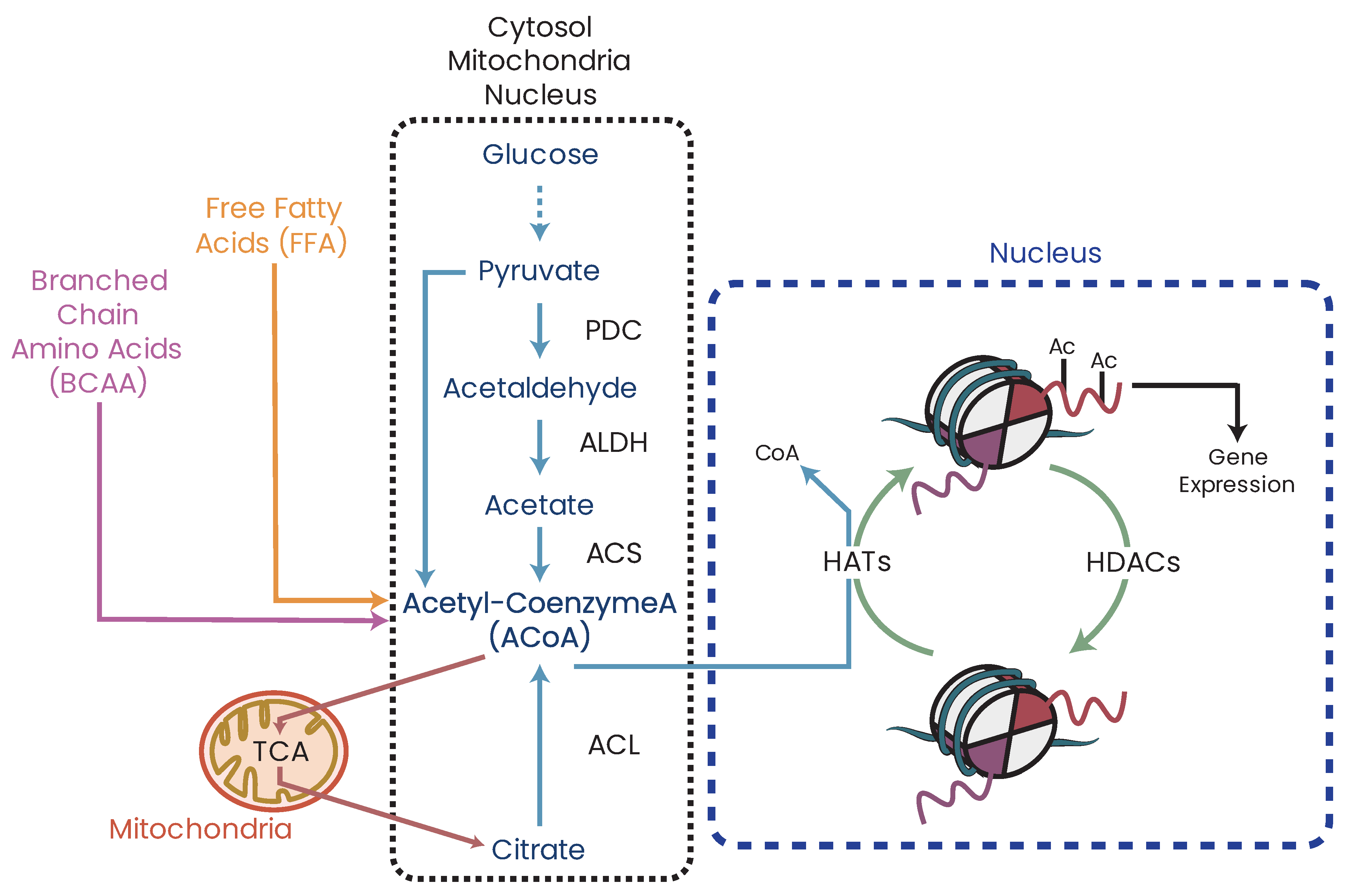 Biomolecules 13 00944 g013 Biomolecules 13 00944 g013