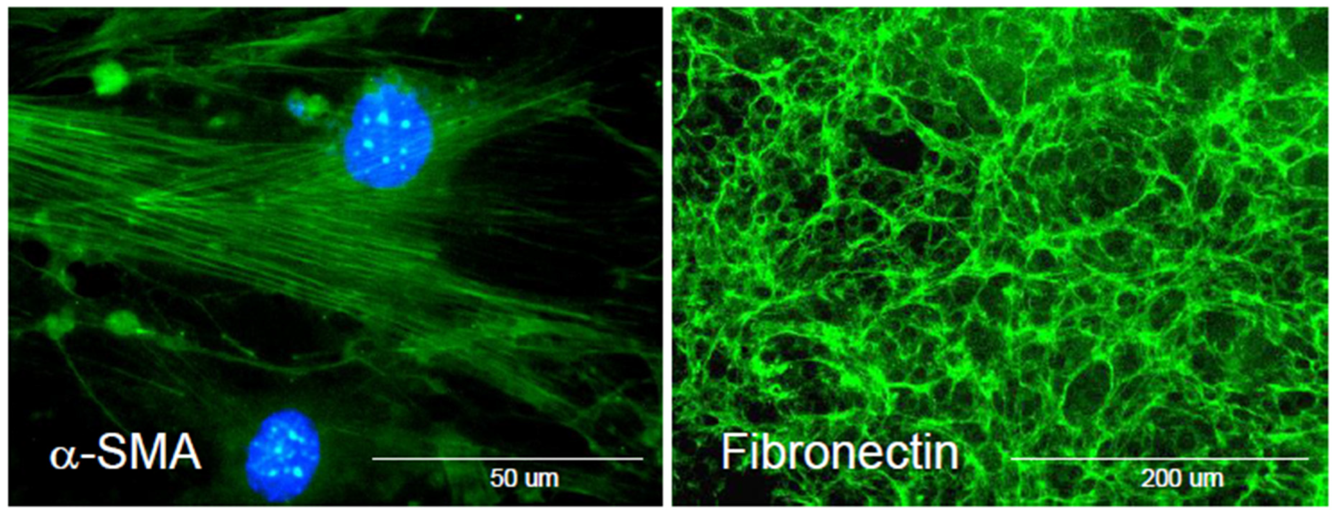 Biomolecules 13 00945 g003 Biomolecules 13 00945 g003
