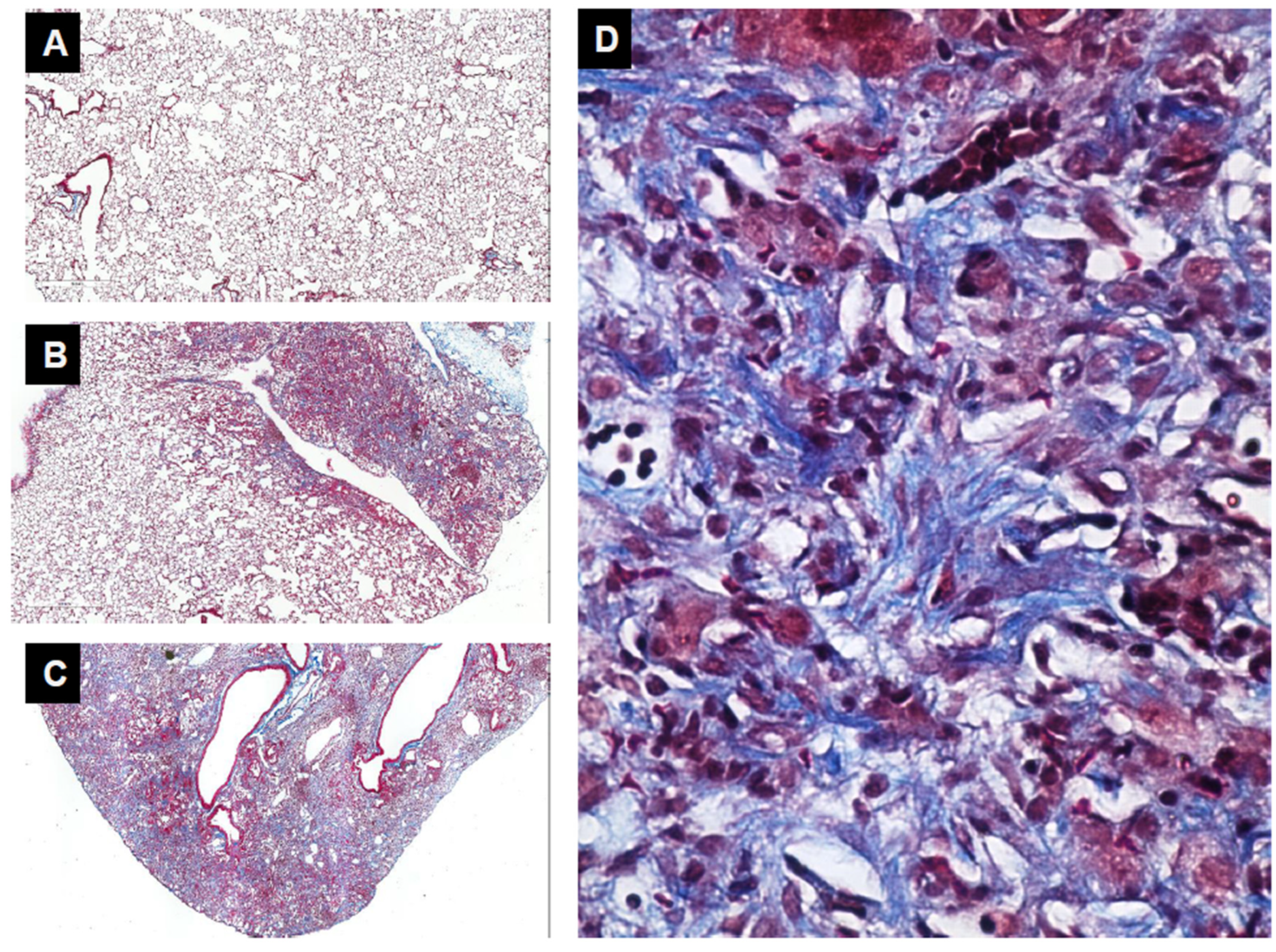 Biomolecules 13 00945 g007 Biomolecules 13 00945 g007