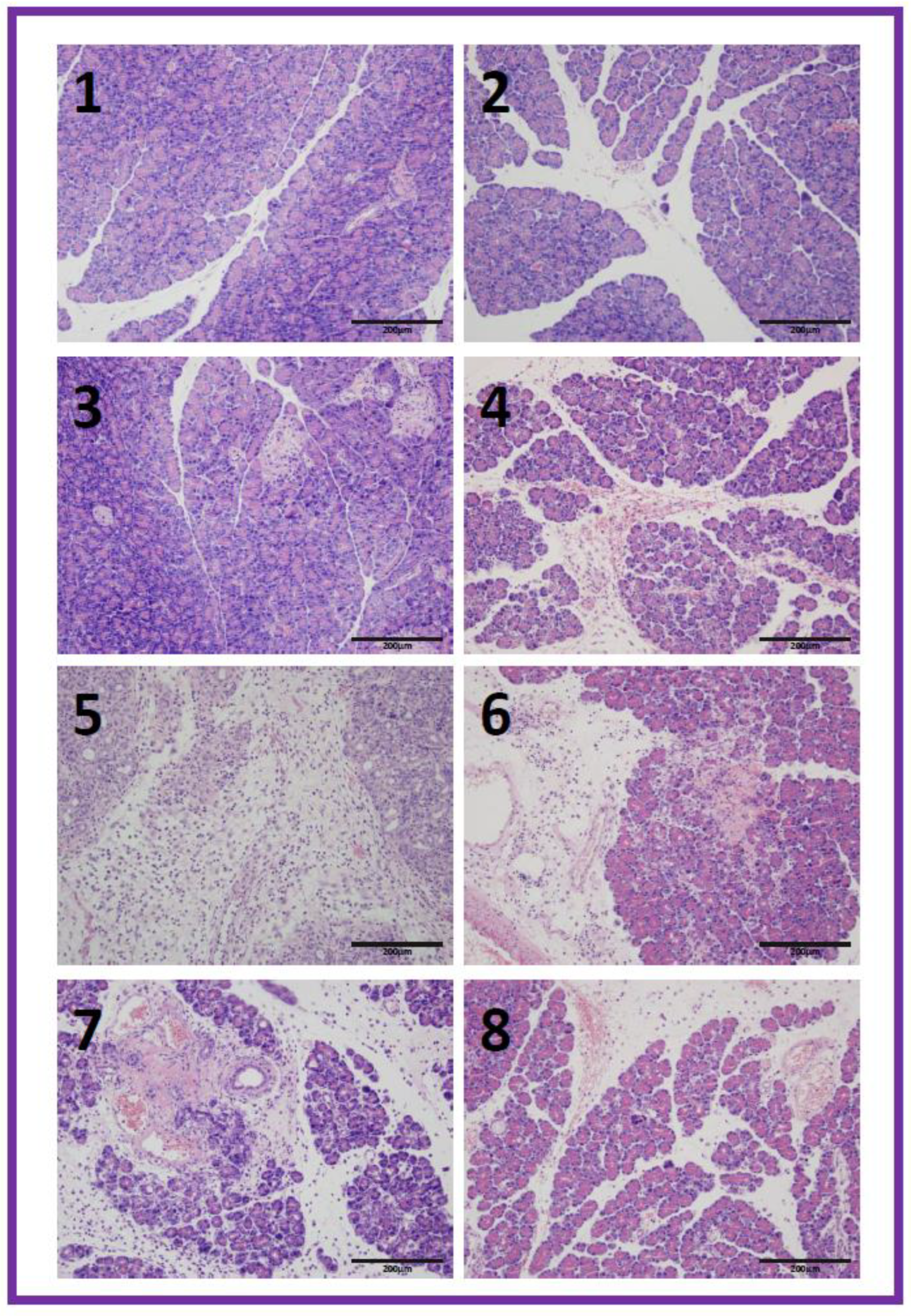 Biomolecules 13 00948 g004 Biomolecules 13 00948 g004