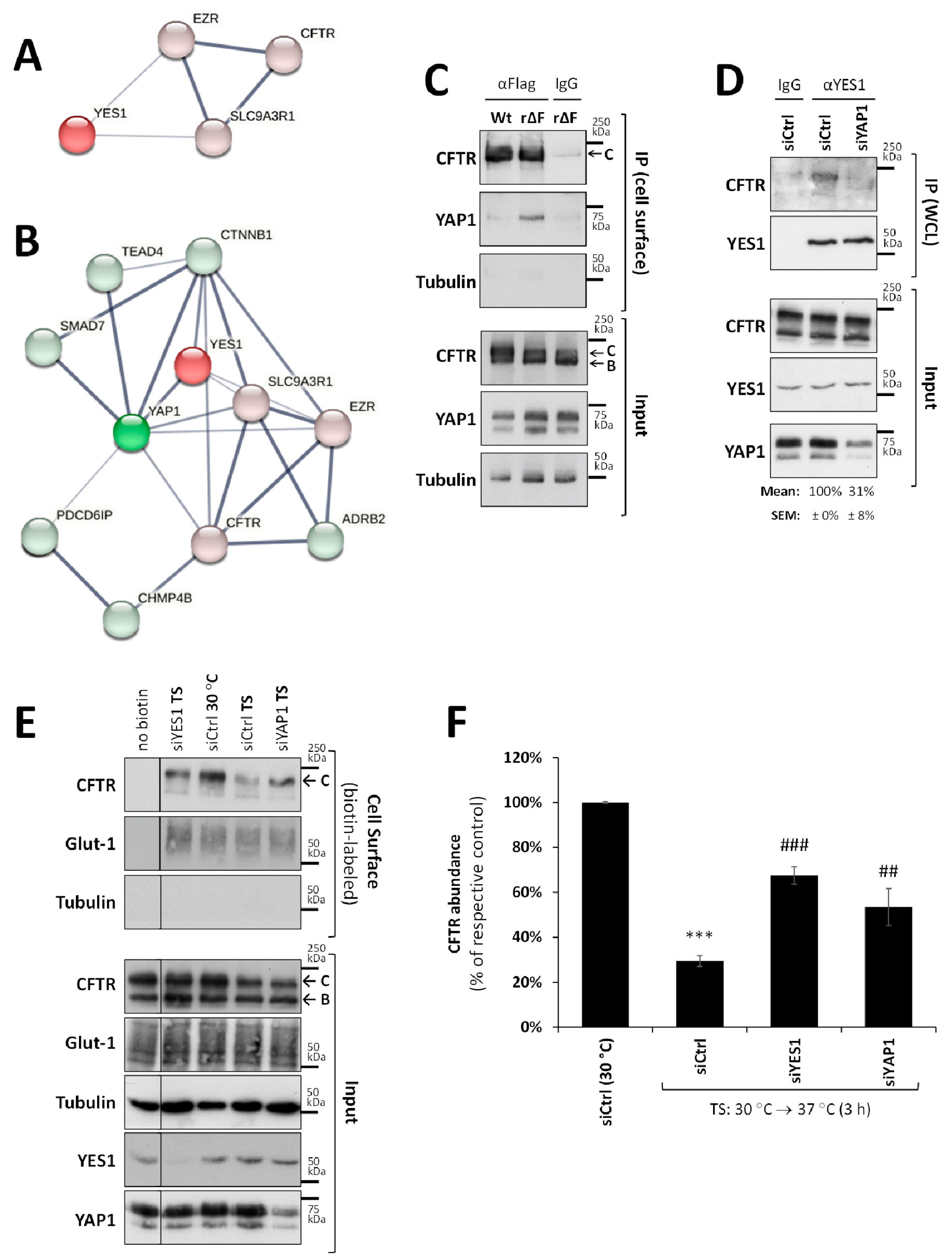Biomolecules 13 00949 g003 Biomolecules 13 00949 g003