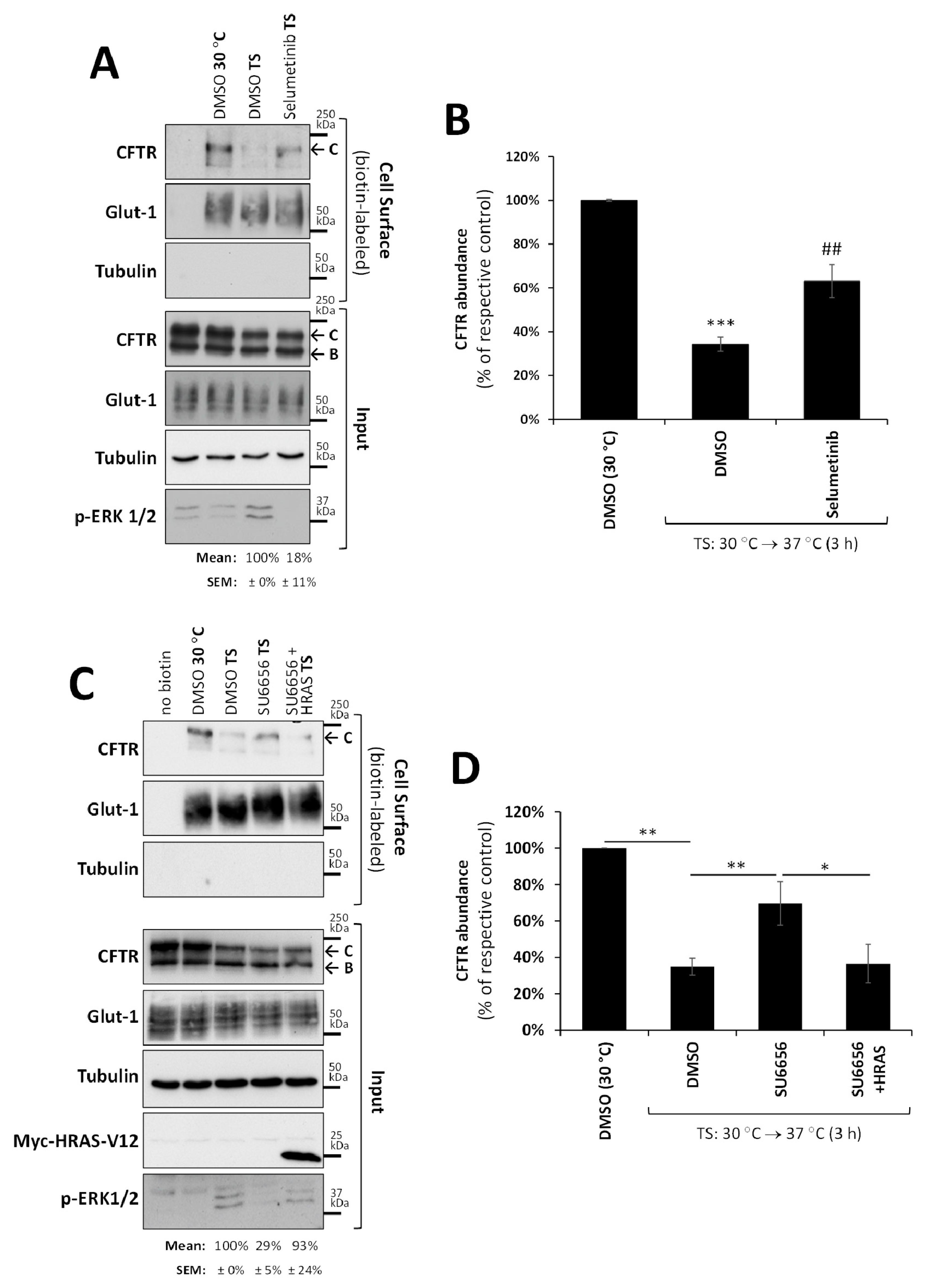 Biomolecules 13 00949 g004 Biomolecules 13 00949 g004