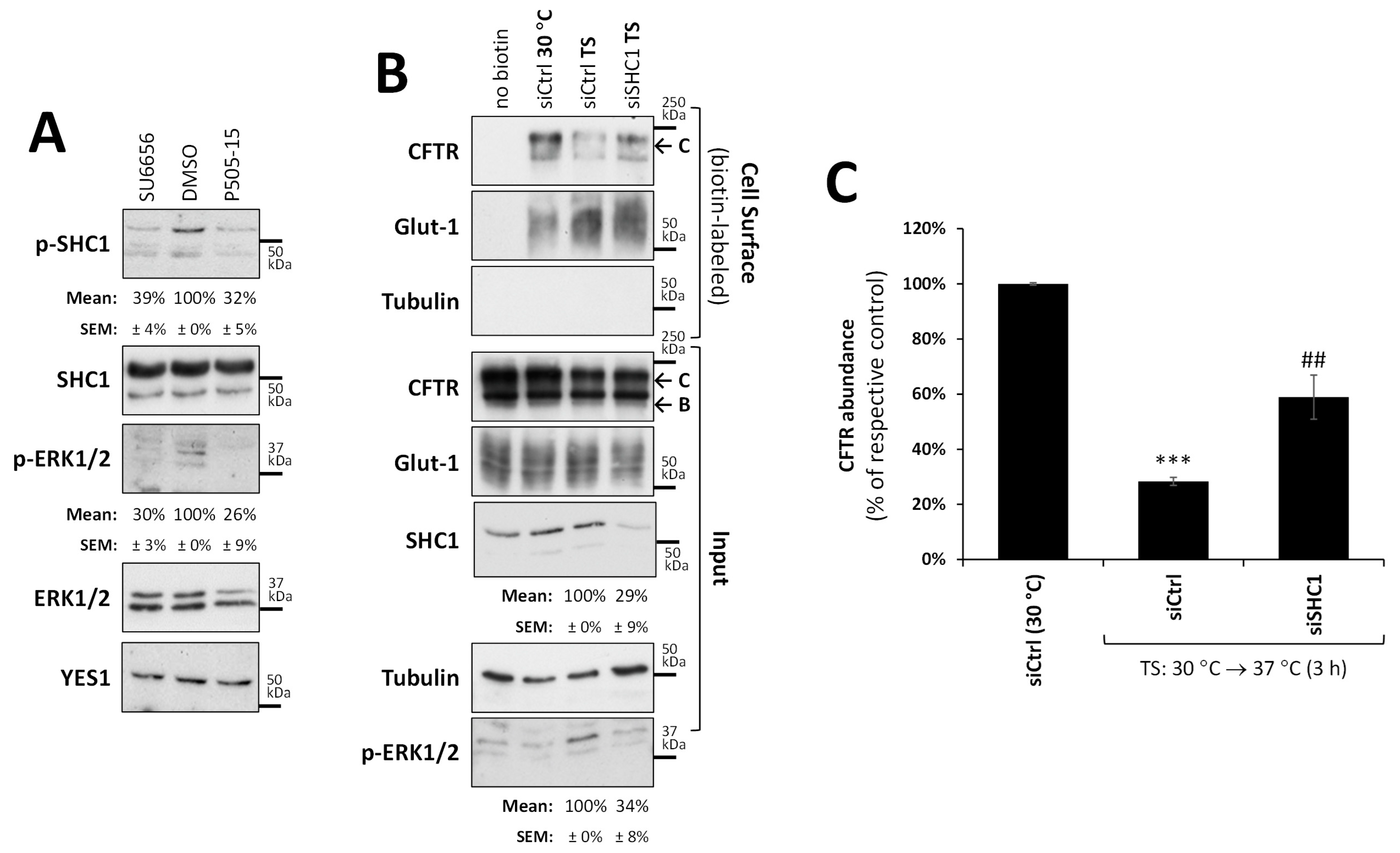 Biomolecules 13 00949 g005 Biomolecules 13 00949 g005