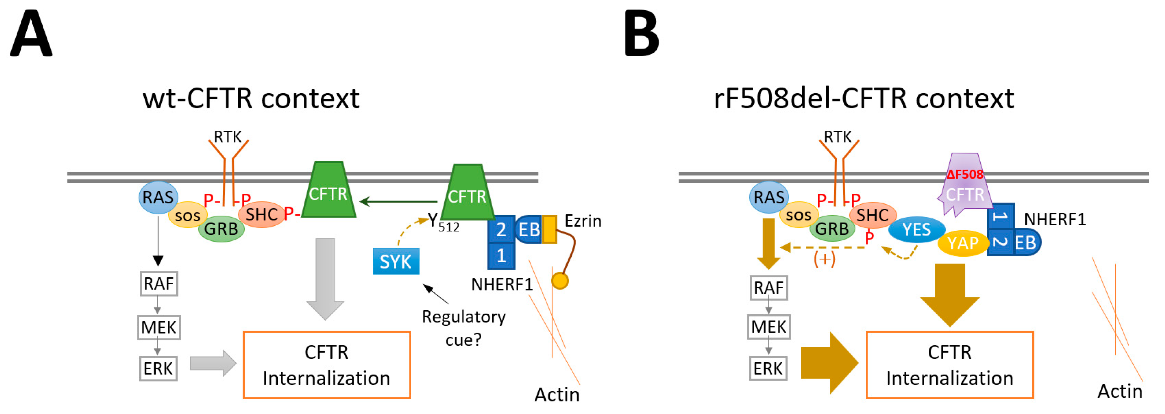 Biomolecules 13 00949 g006 Biomolecules 13 00949 g006