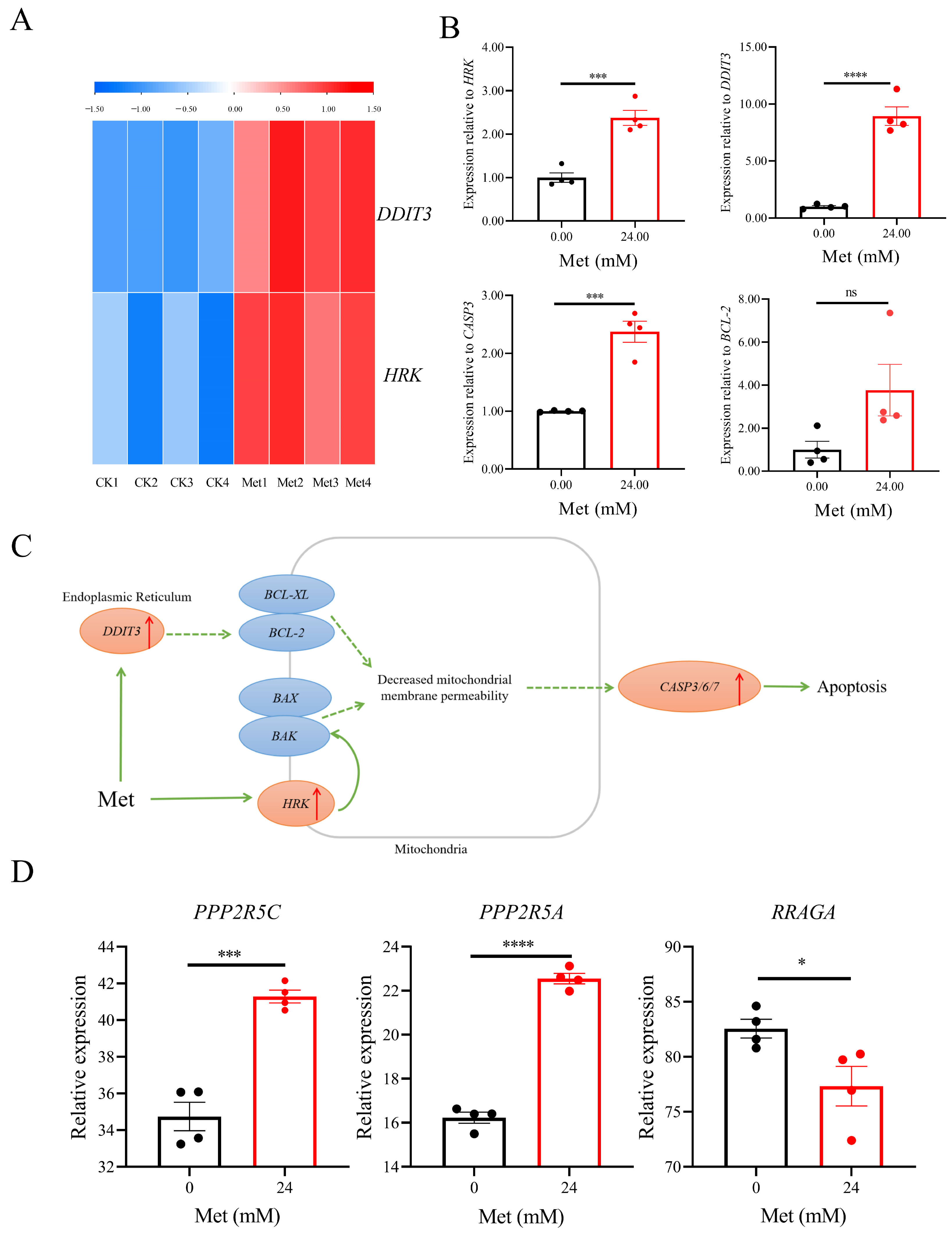 Biomolecules 13 00950 g005 Biomolecules 13 00950 g005