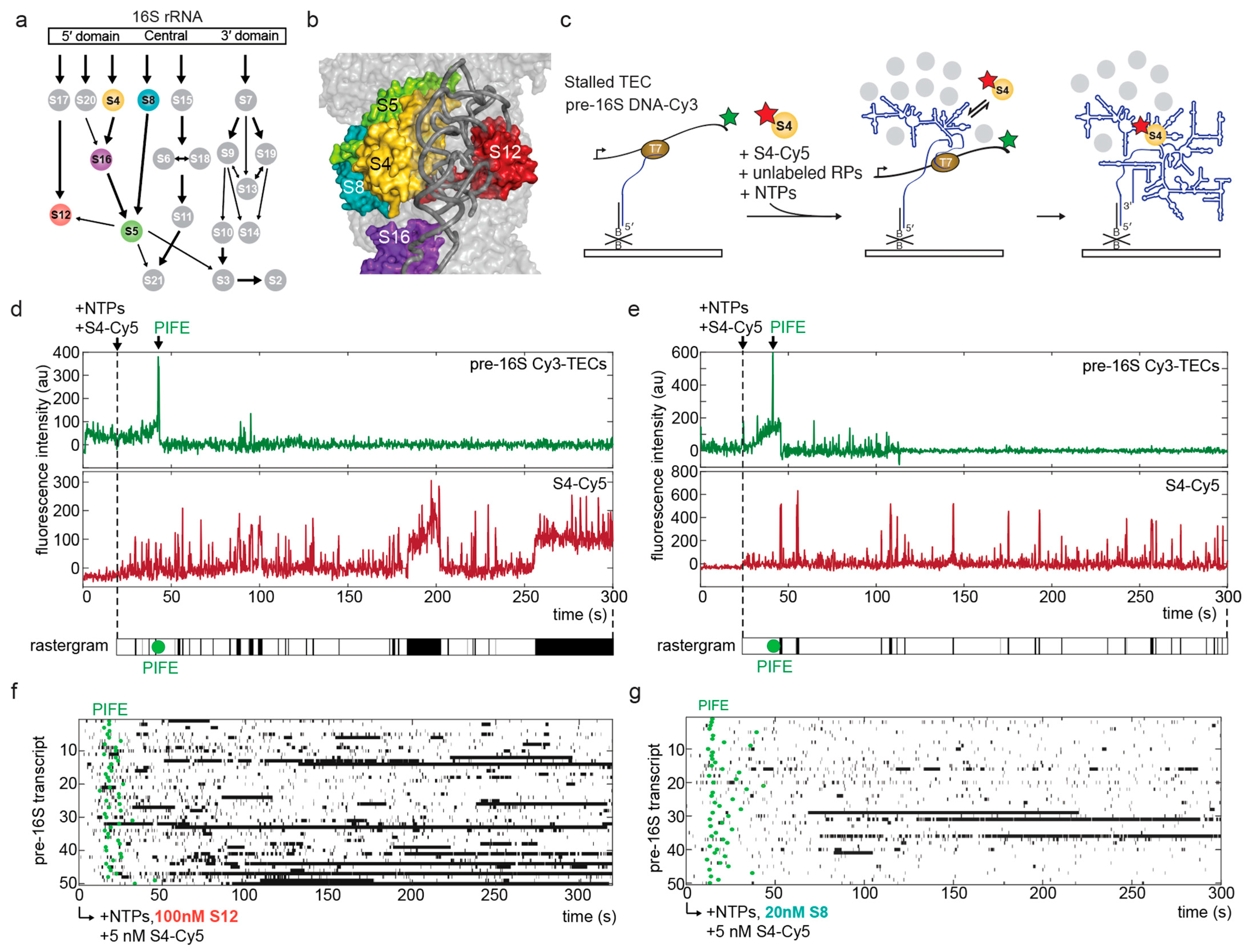 Biomolecules 13 00951 g001 Biomolecules 13 00951 g001