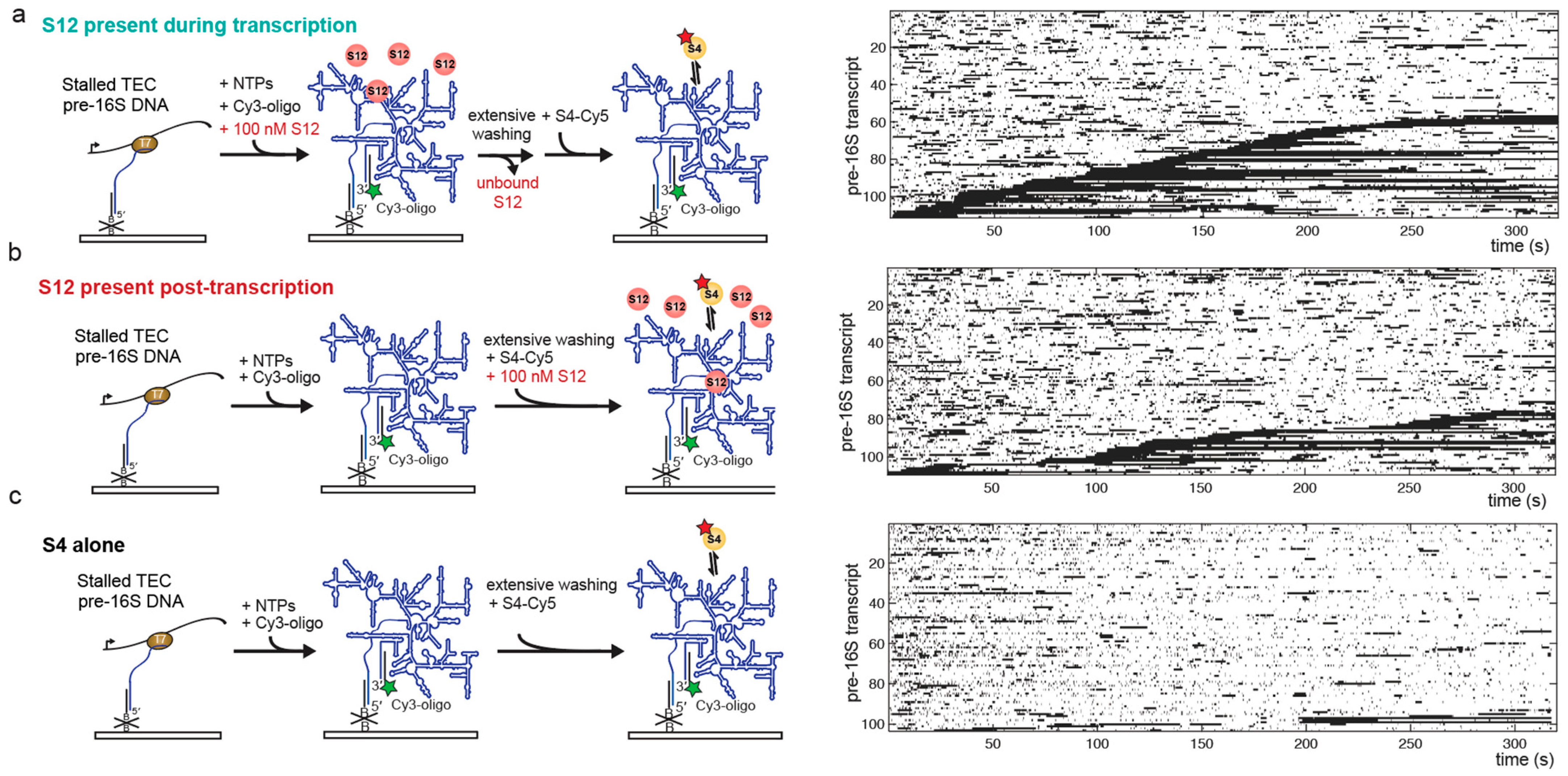 Biomolecules 13 00951 g004 Biomolecules 13 00951 g004