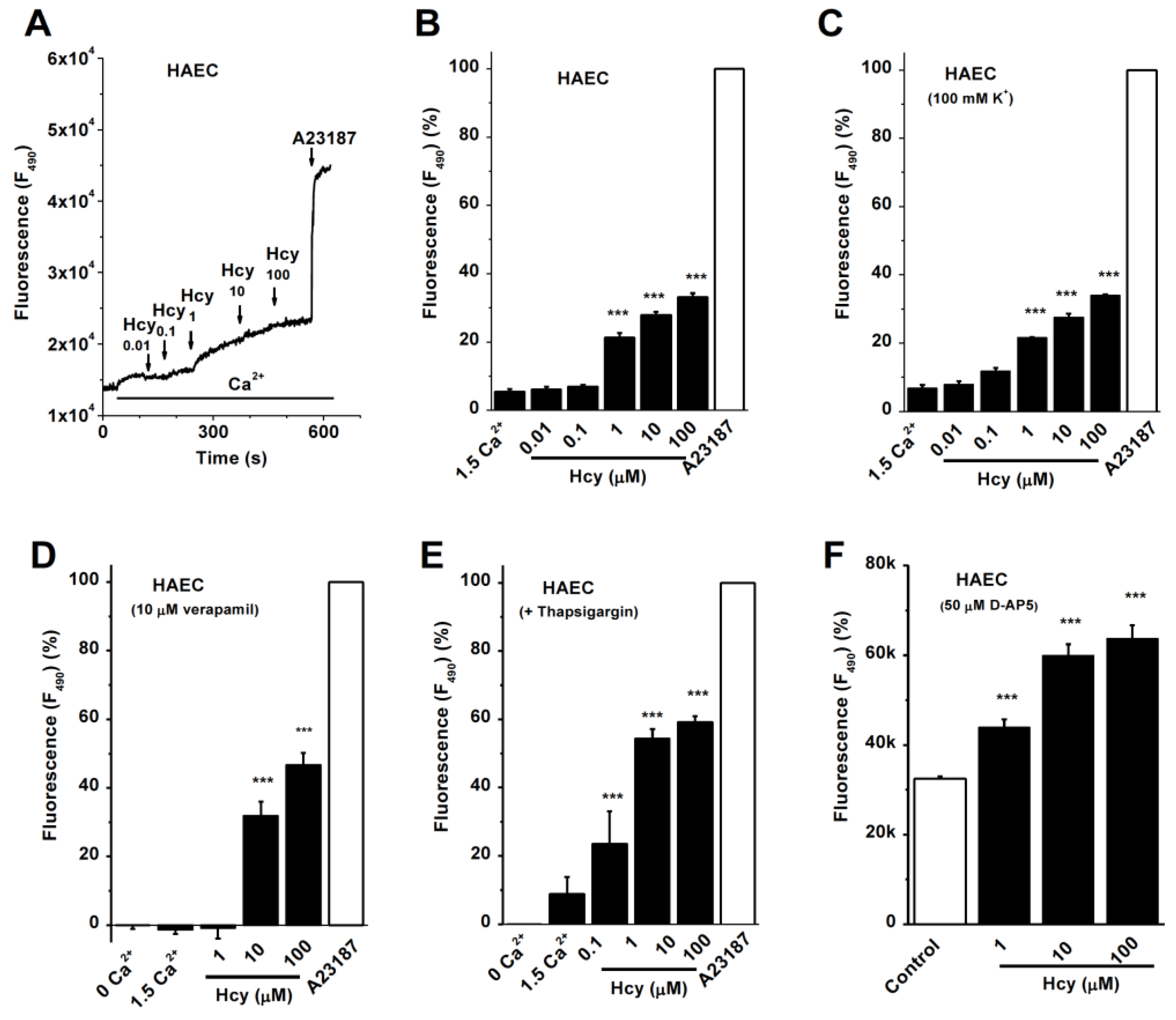 Biomolecules 13 00952 g001 Biomolecules 13 00952 g001