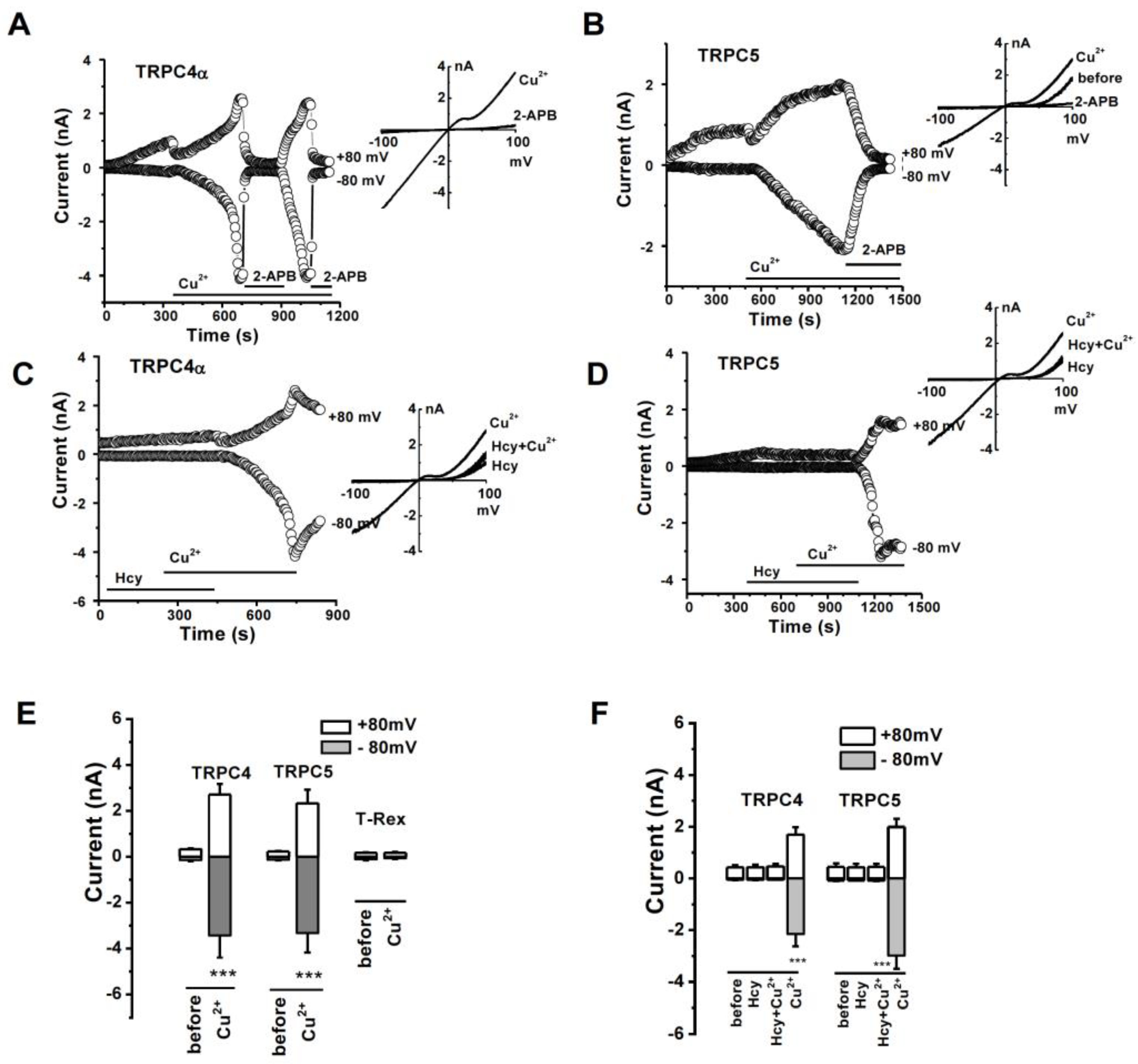 Biomolecules 13 00952 g003 Biomolecules 13 00952 g003